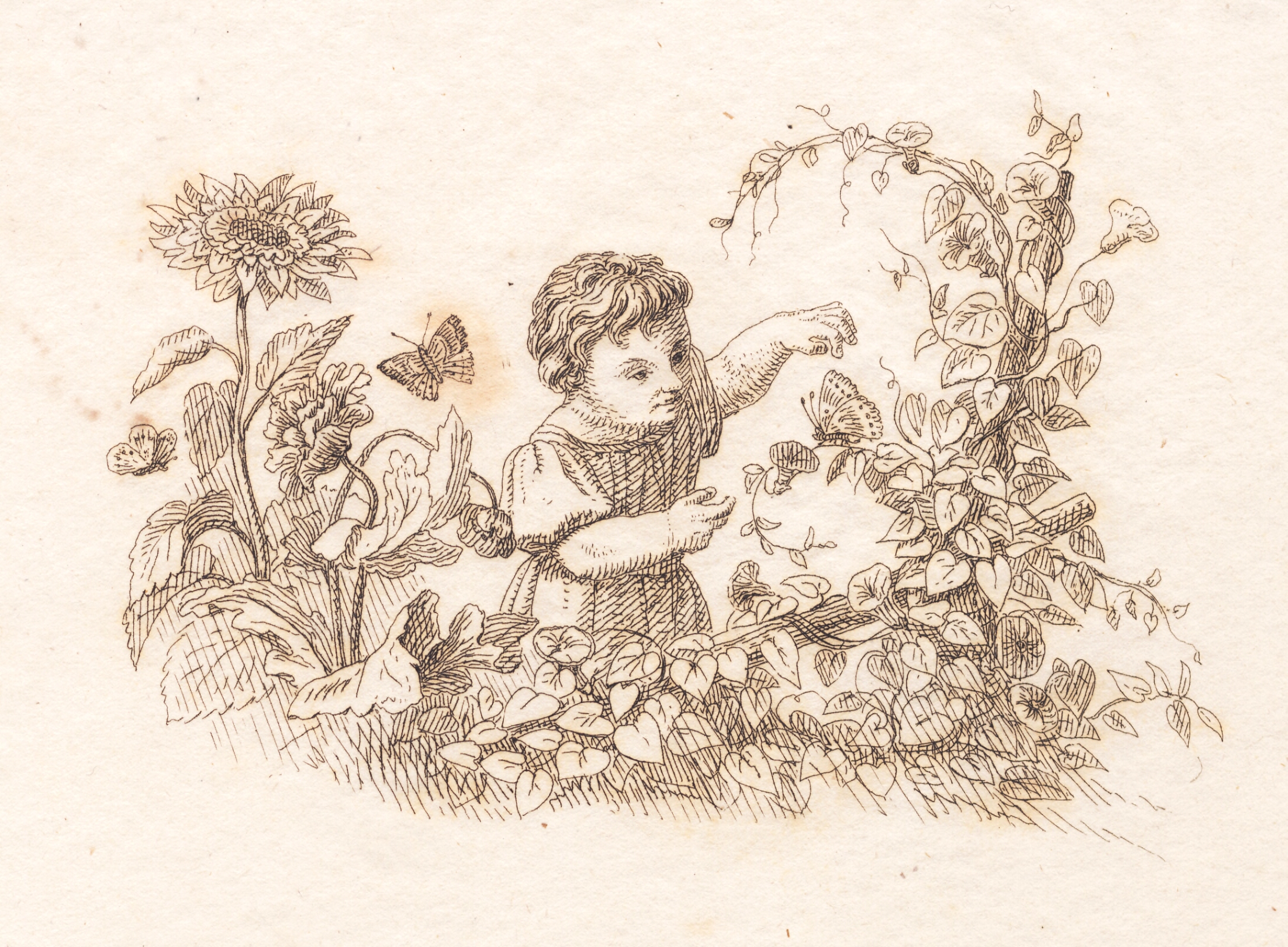 Illustration til "Halvhundrede Fabler for Børn" af Hey