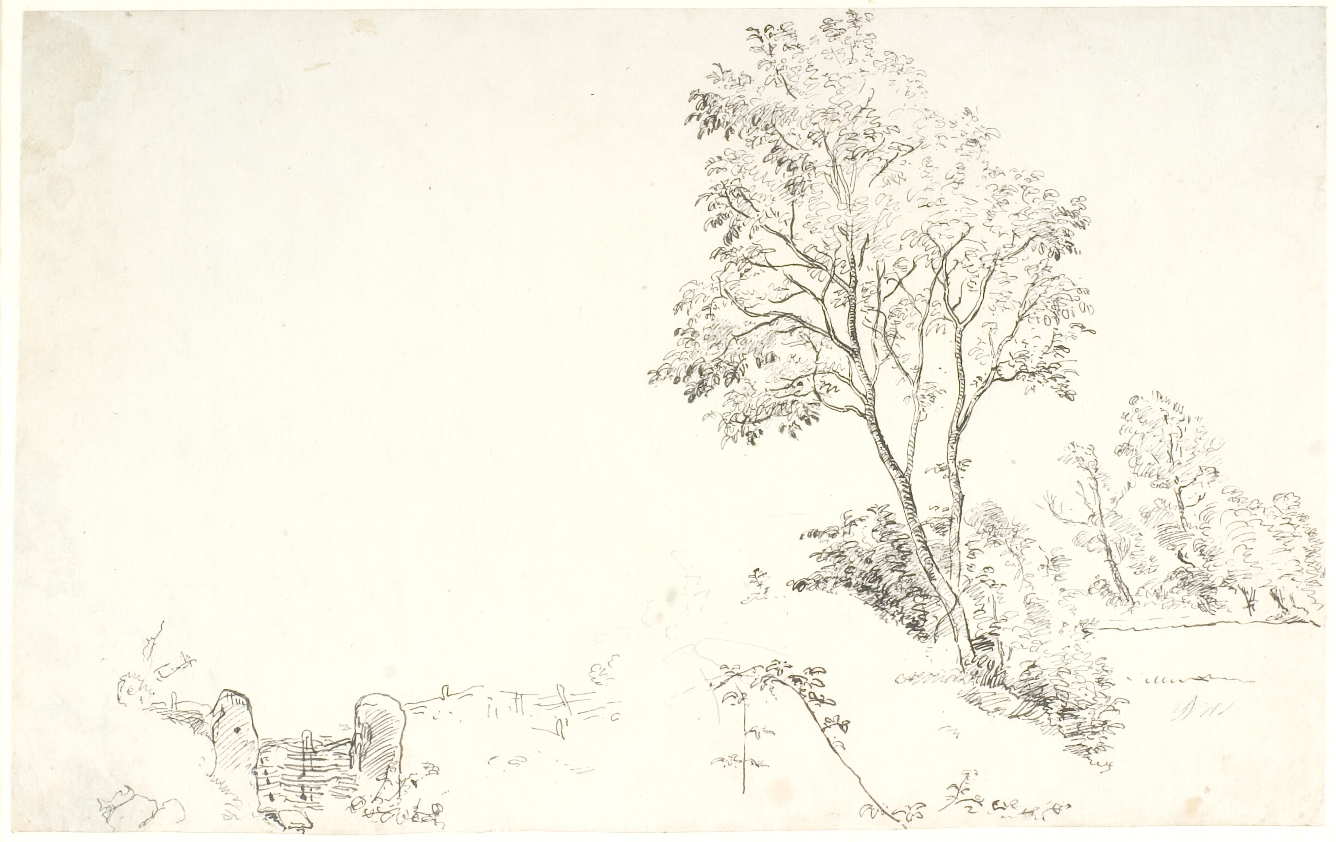 Træstudier og et led