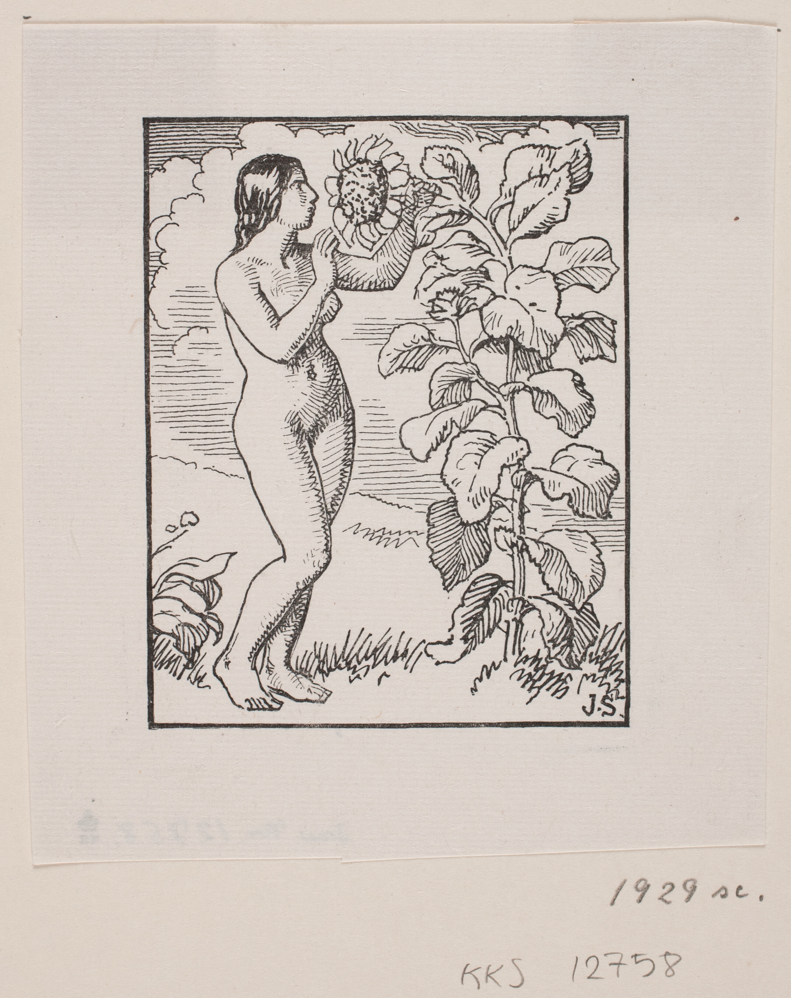 Eva ved en solsikke, Ekslibris