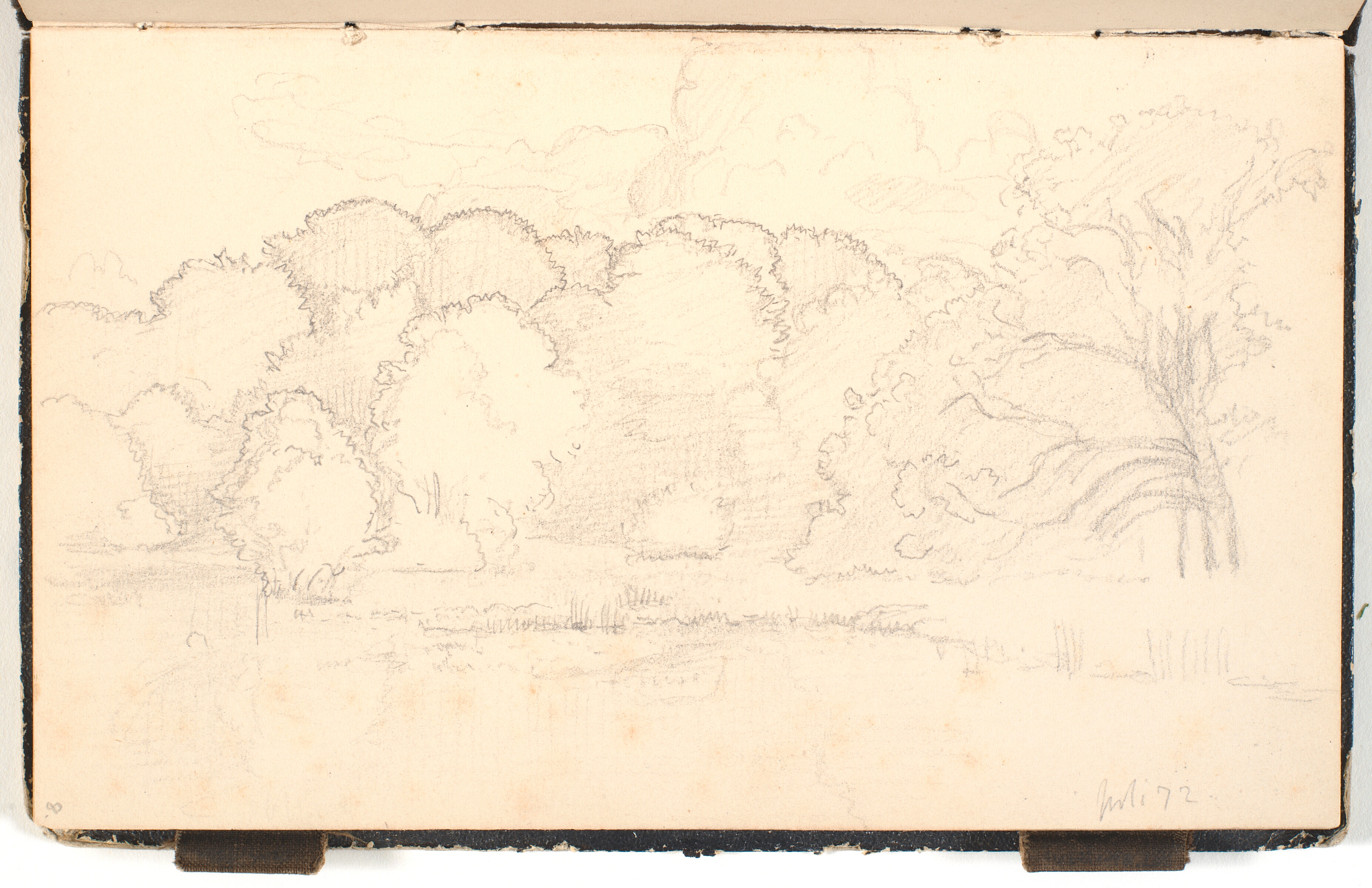 Søbred med tæt træbevoksning