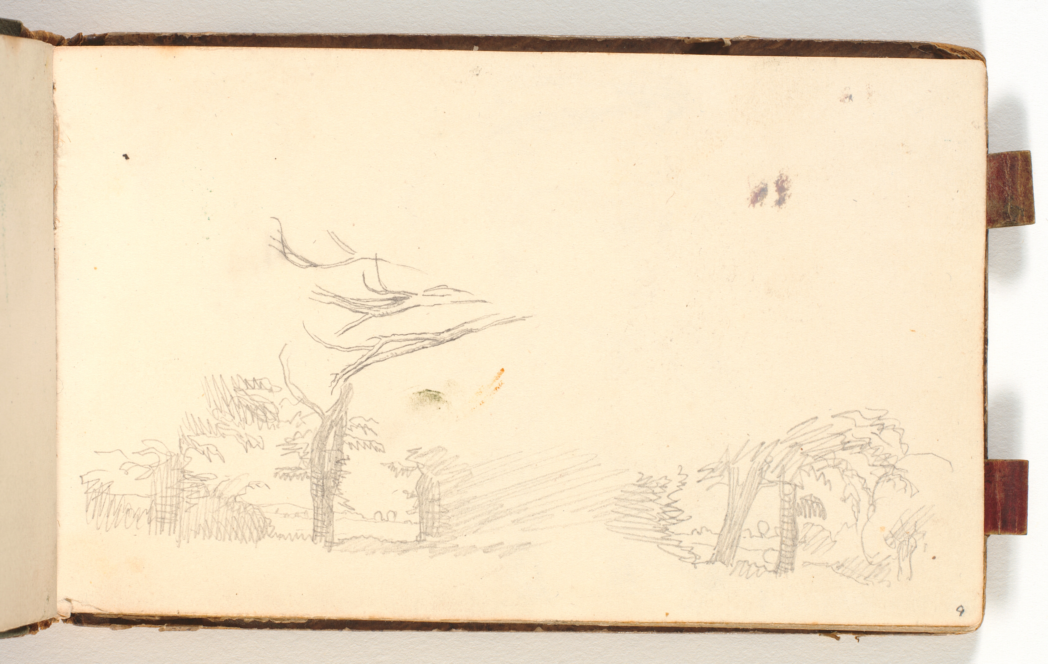 To landskabsskitser og rids af træstammer