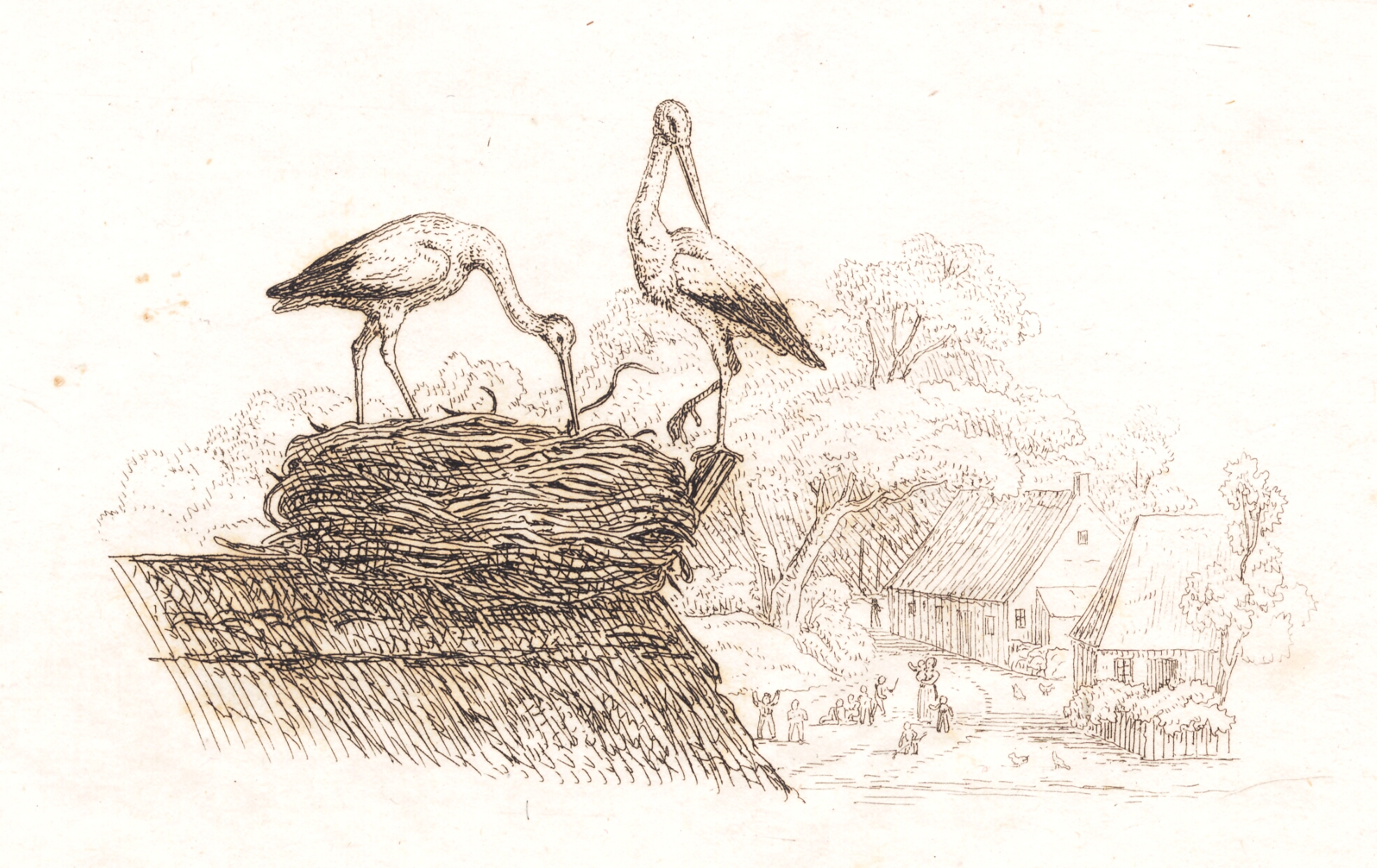 Illustration til "Halvhundrede Fabler for Børn" af Hey