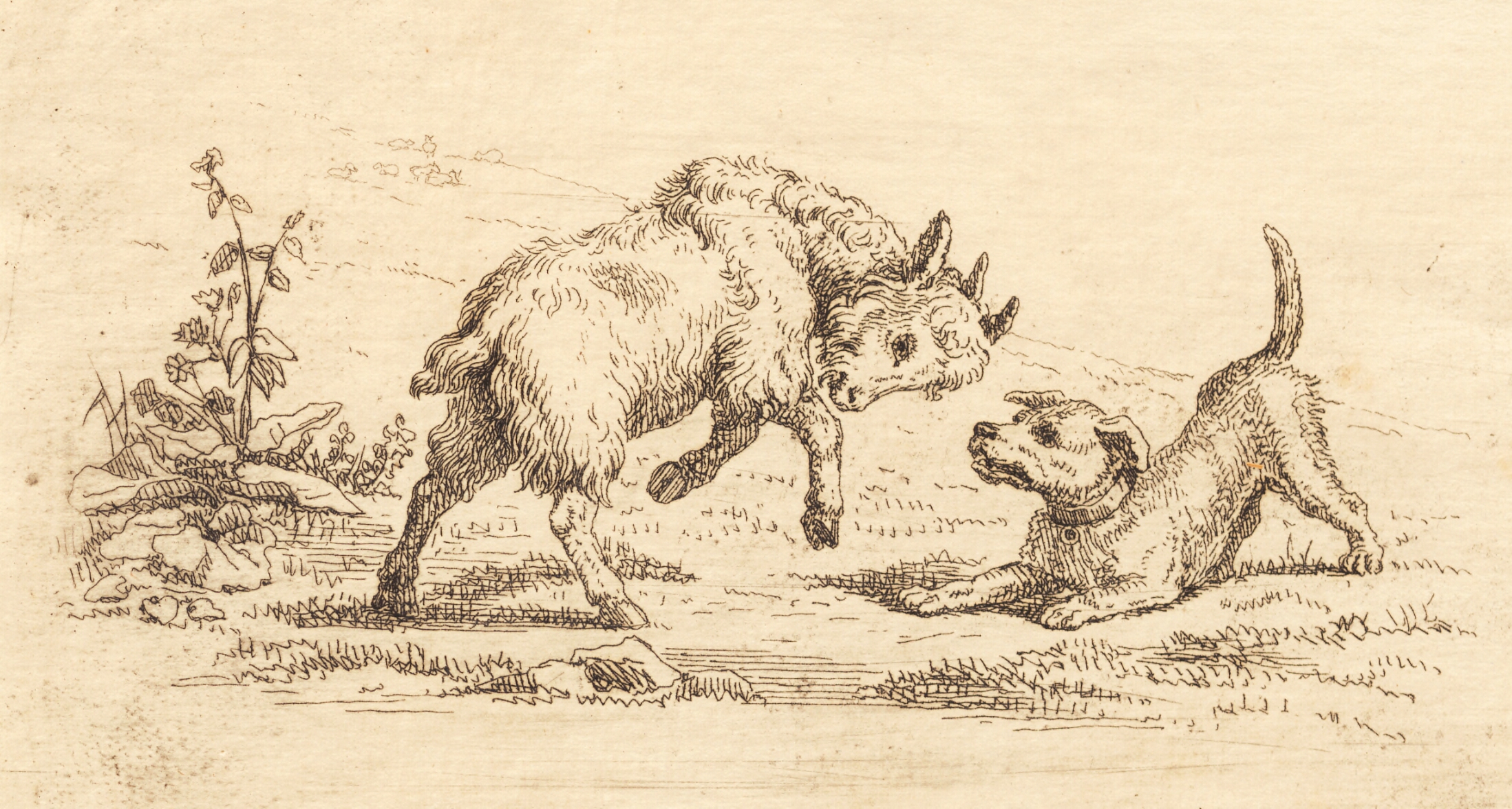 Illustration til "Halvhundrede Fabler for Børn" af Hey