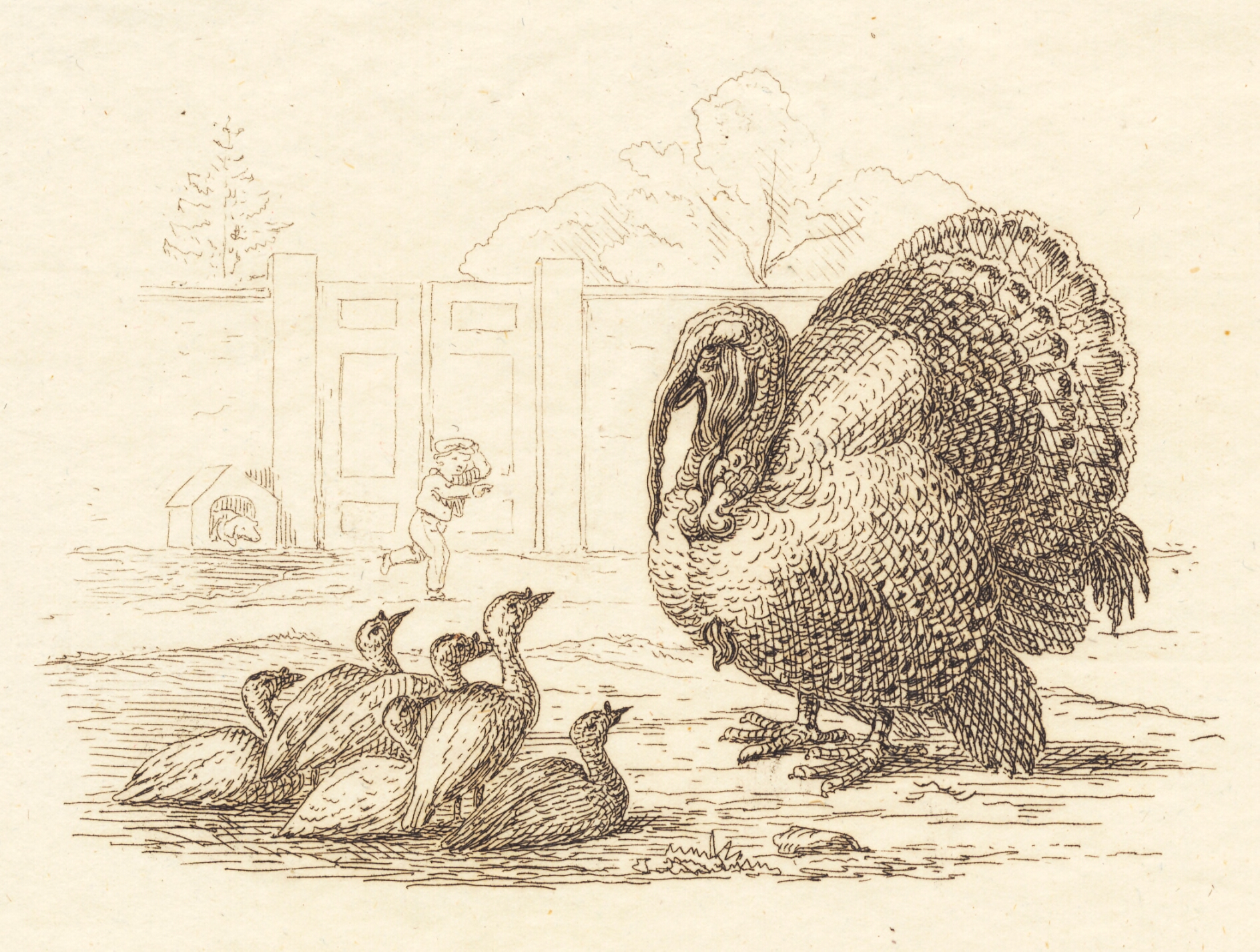 Illustration til "Halvhundrede Fabler for Børn" af Hey