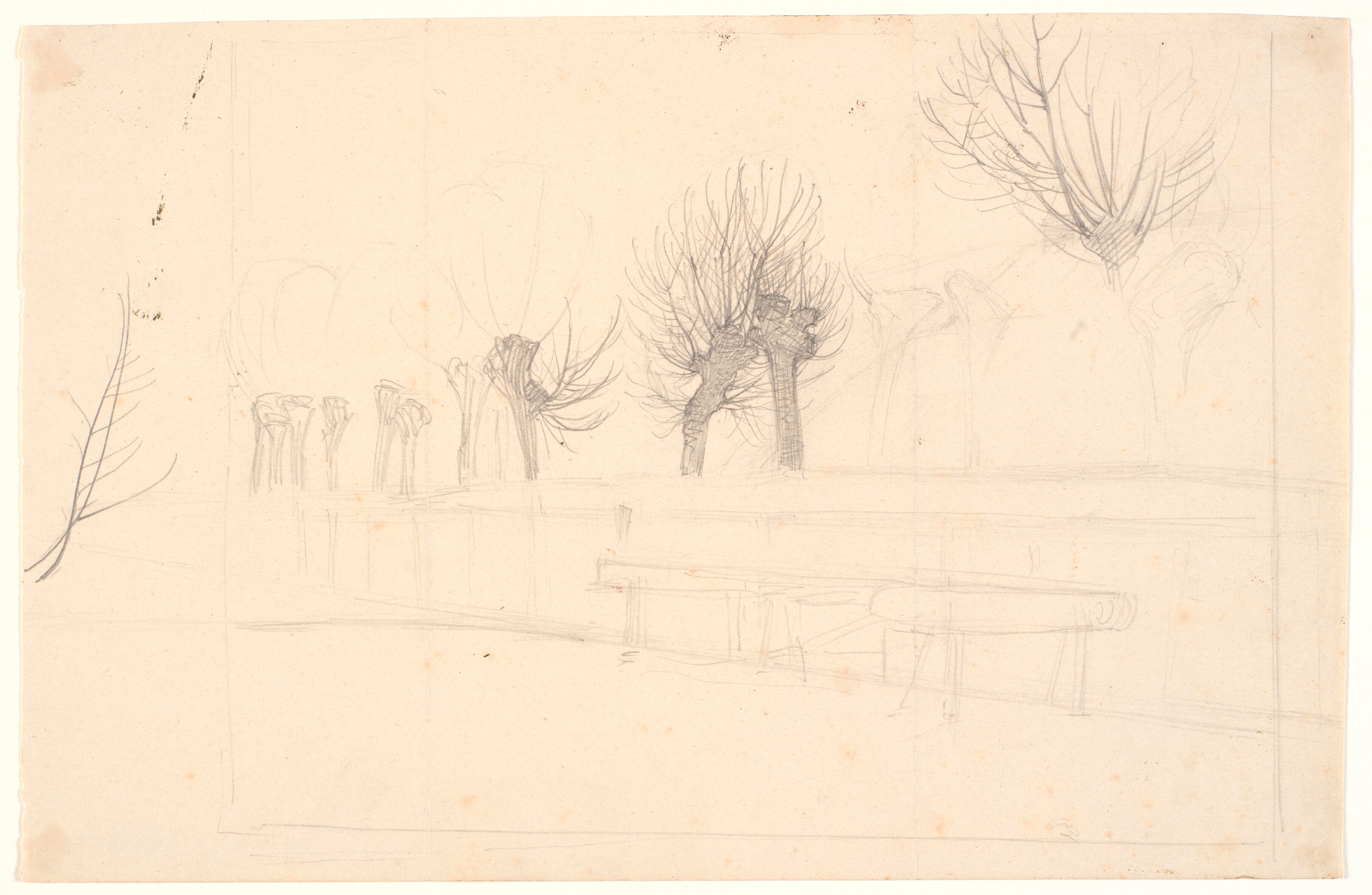 Stynede popler langs en å