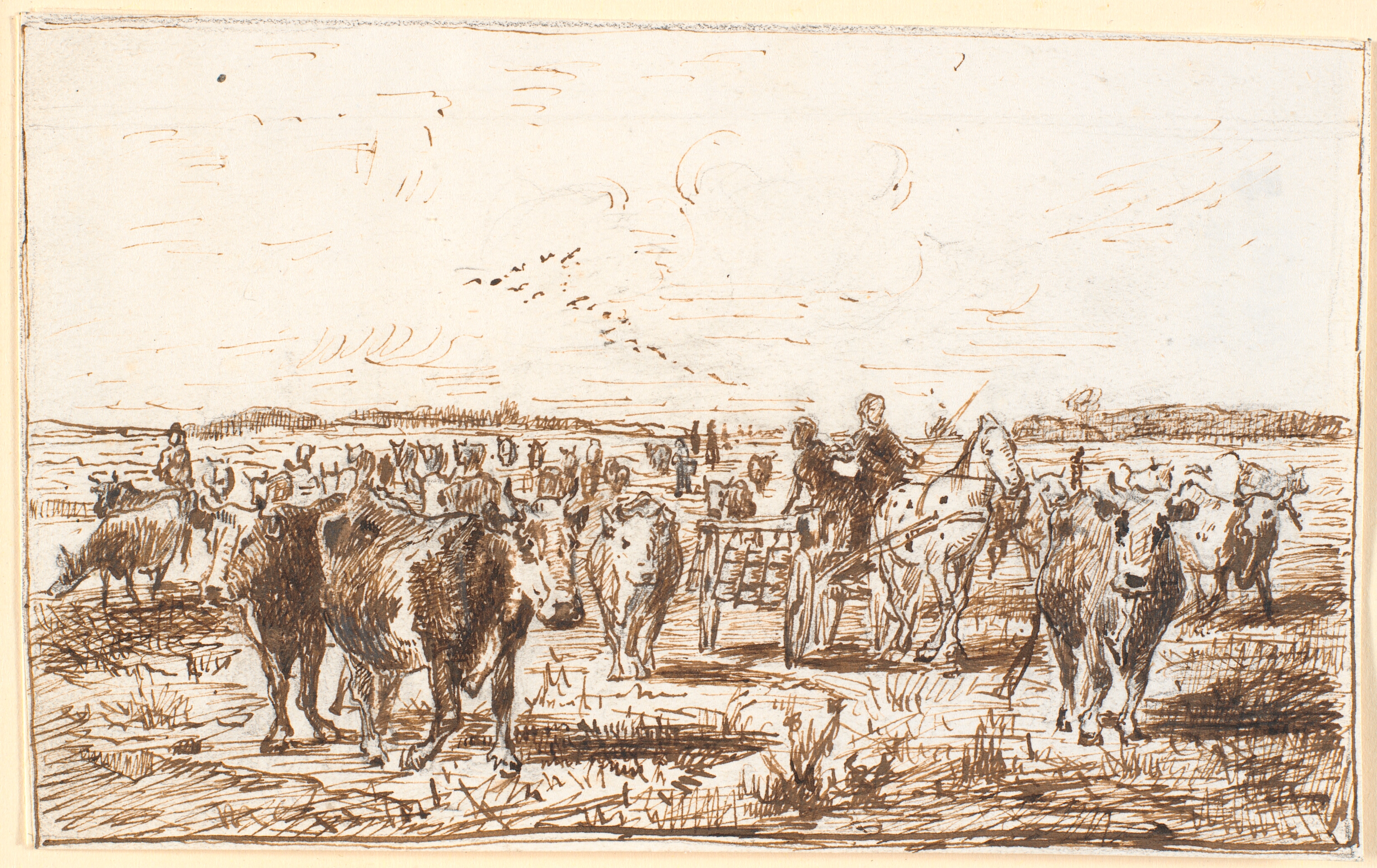 Kvæg og malkevogn på en mark