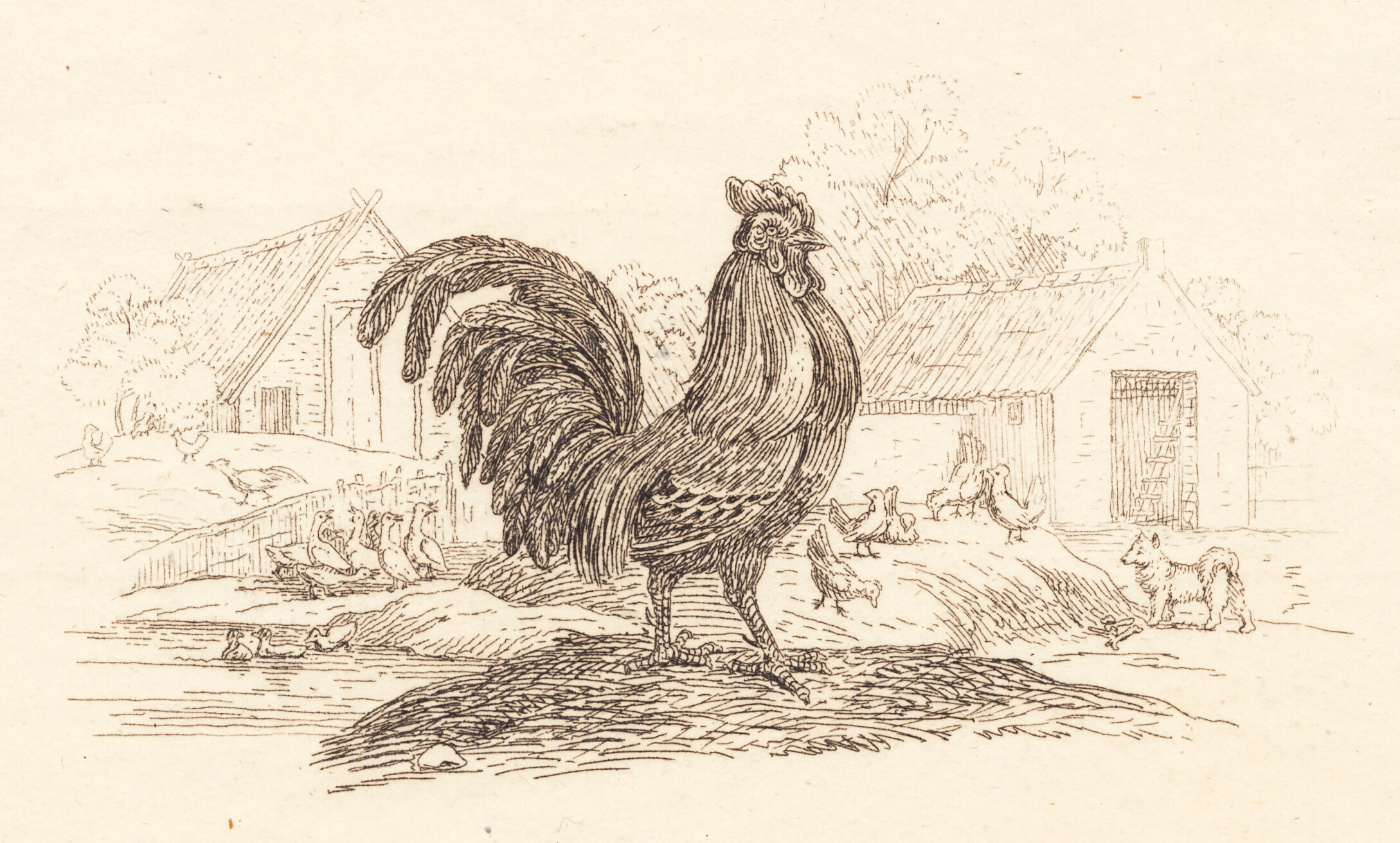 Illustration til "Halvhundrede Fabler for Børn" af Hey