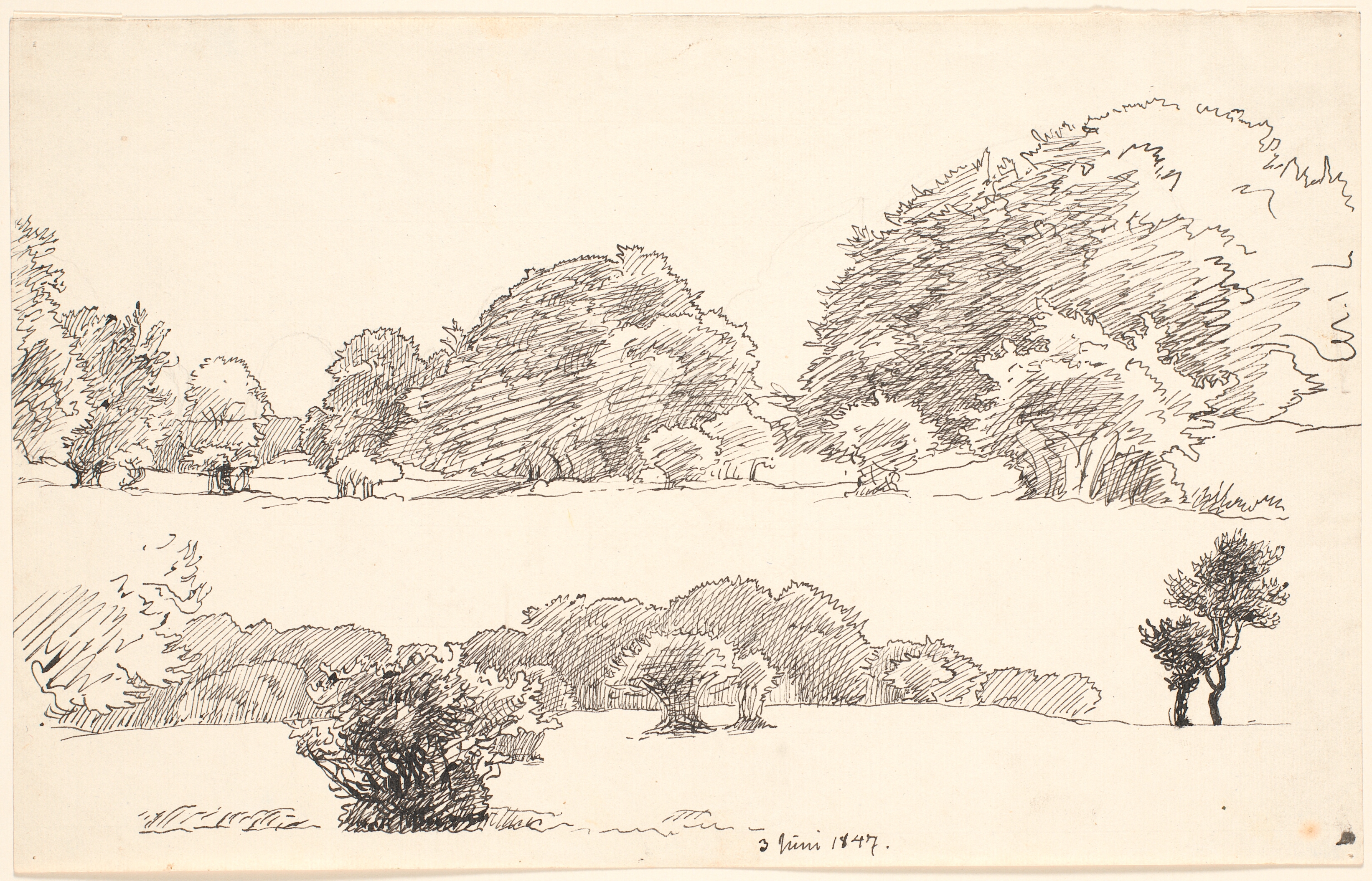 Studieblad med to landskaber med store træer.