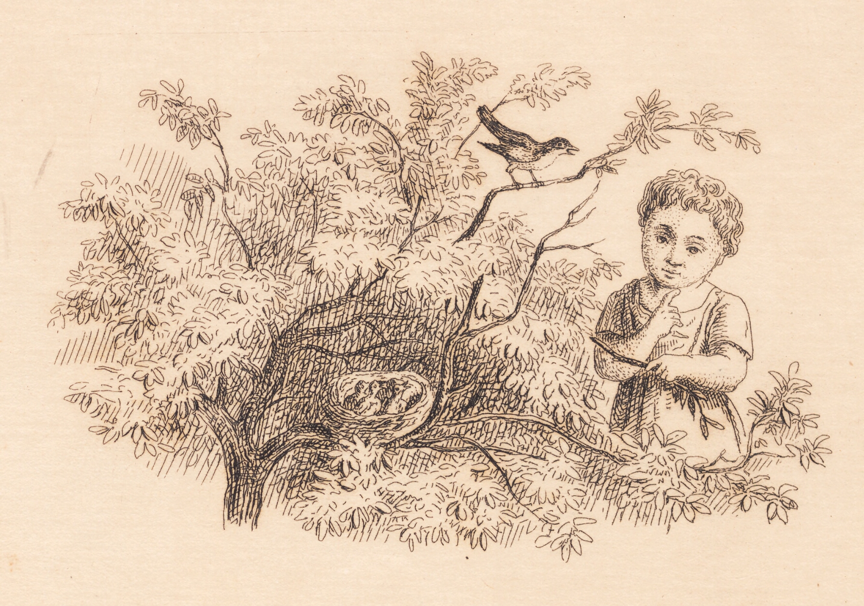 Illustration til "Halvhundrede Fabler for Børn" af Hey