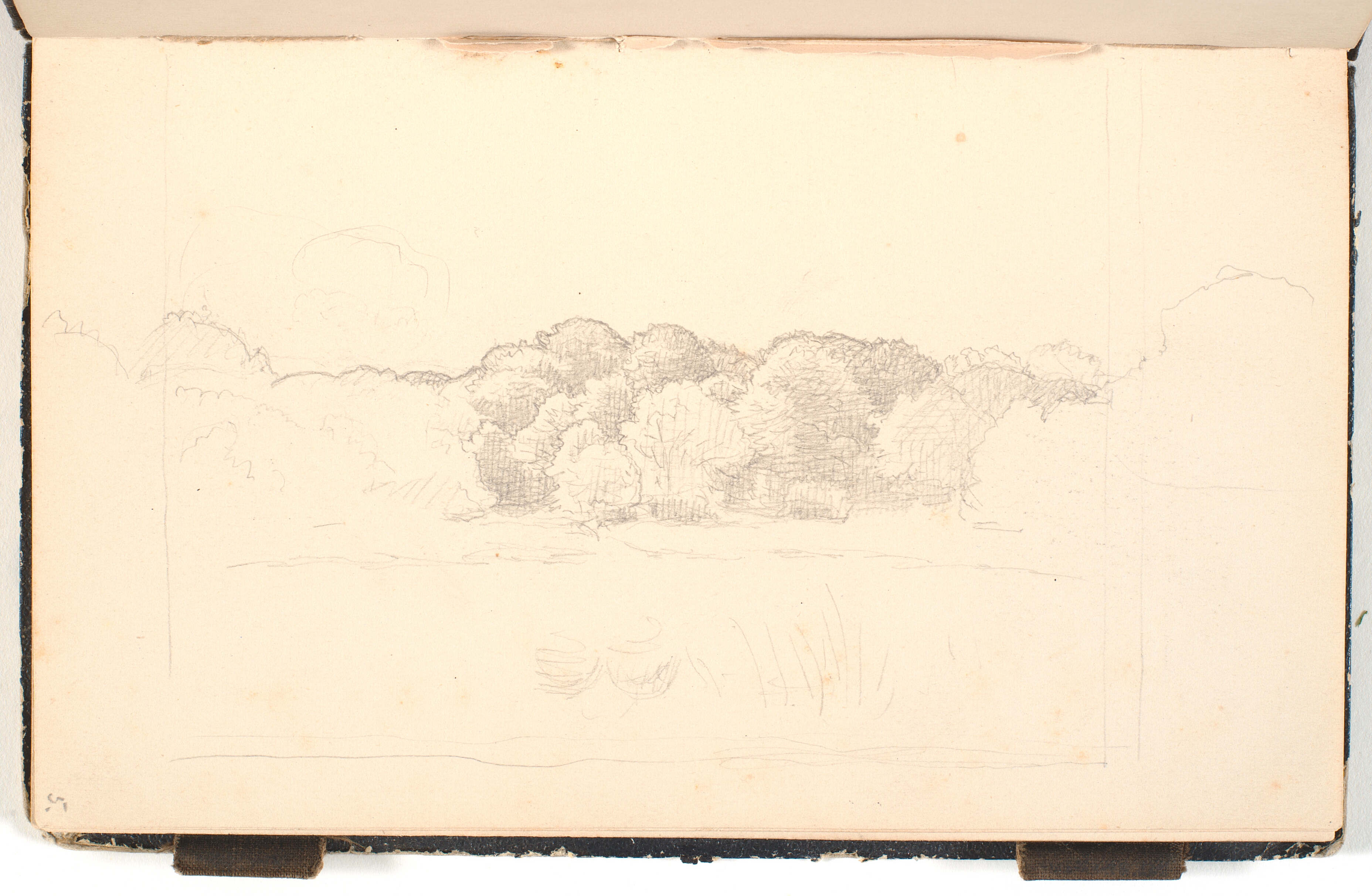 En søbred. I baggrunden tæt træbevoksning