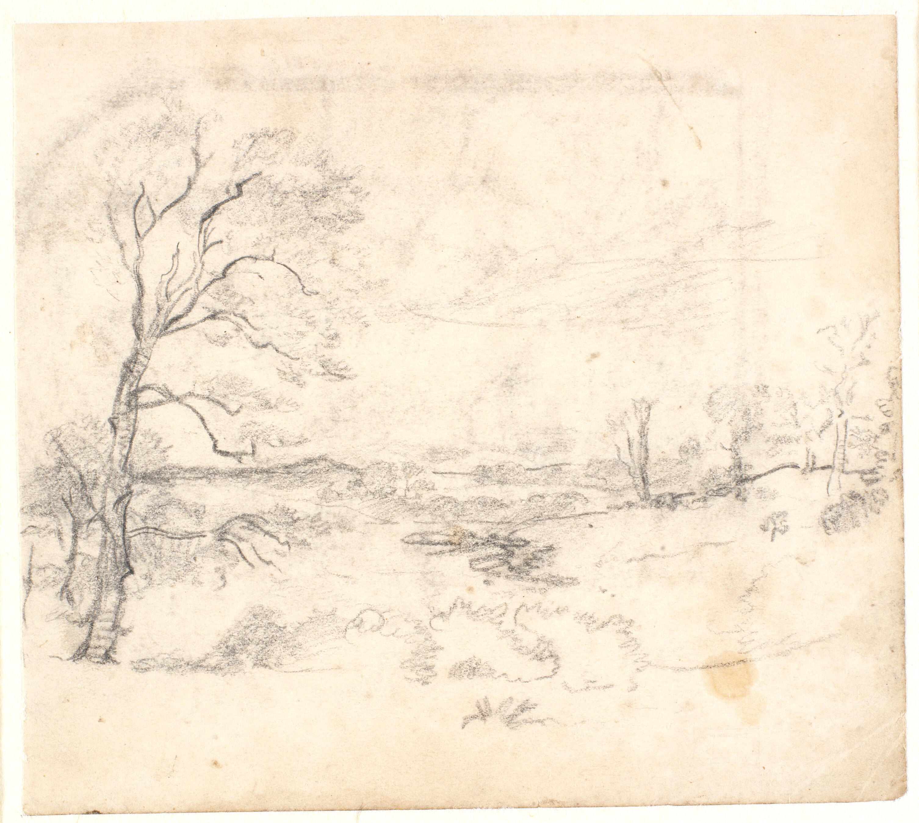 Udsigt over et bakket og trærigt landskab