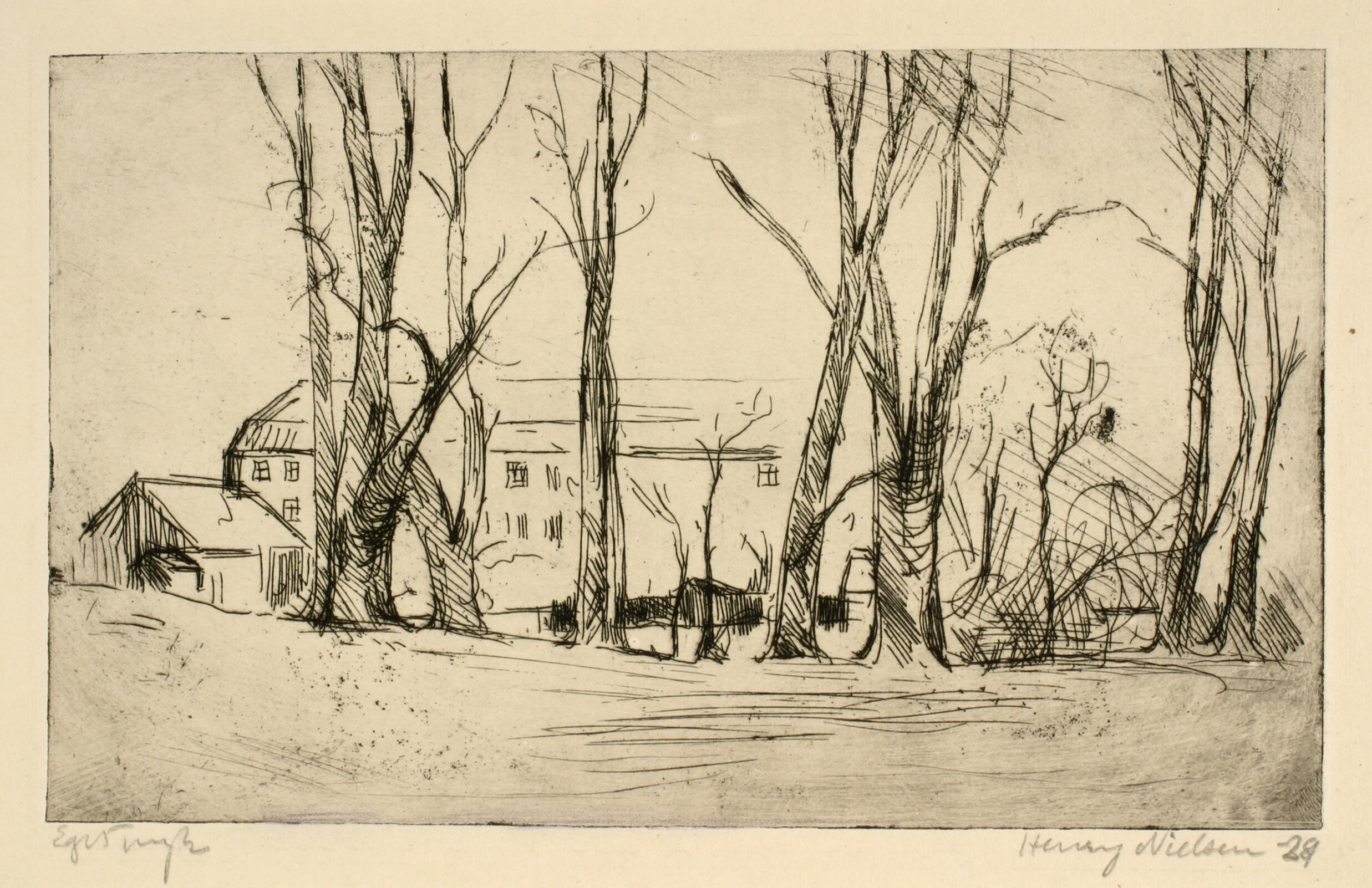 Hospitalslignende bygning set mellem store træer