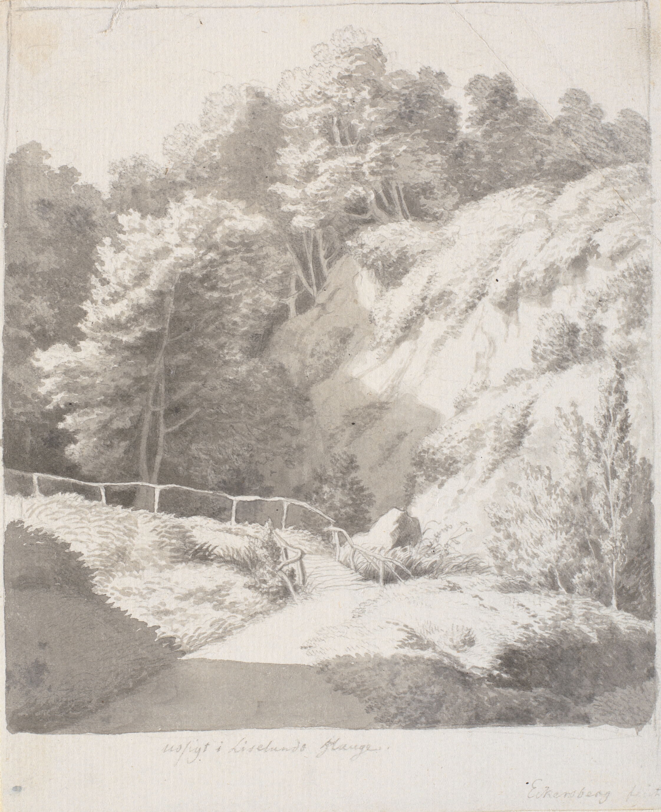 Udsigt i Liselunds have