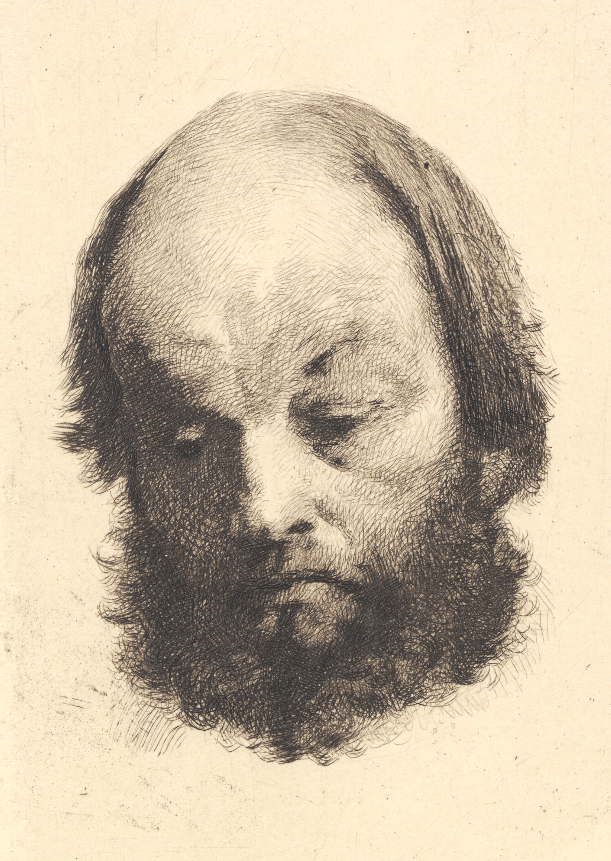 Sortskægget mand, Garibaldi