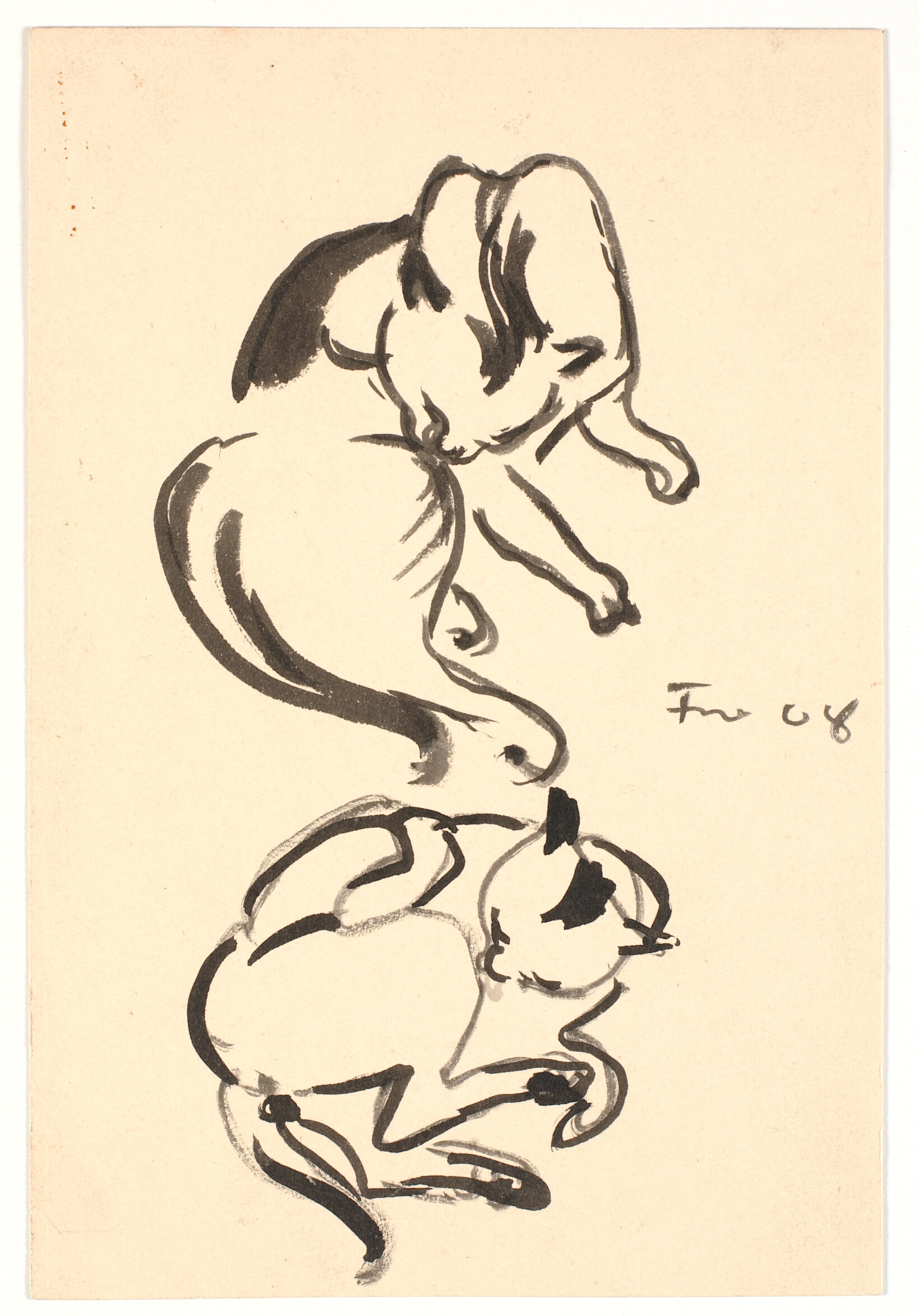 To studier af en kat der vasker sig