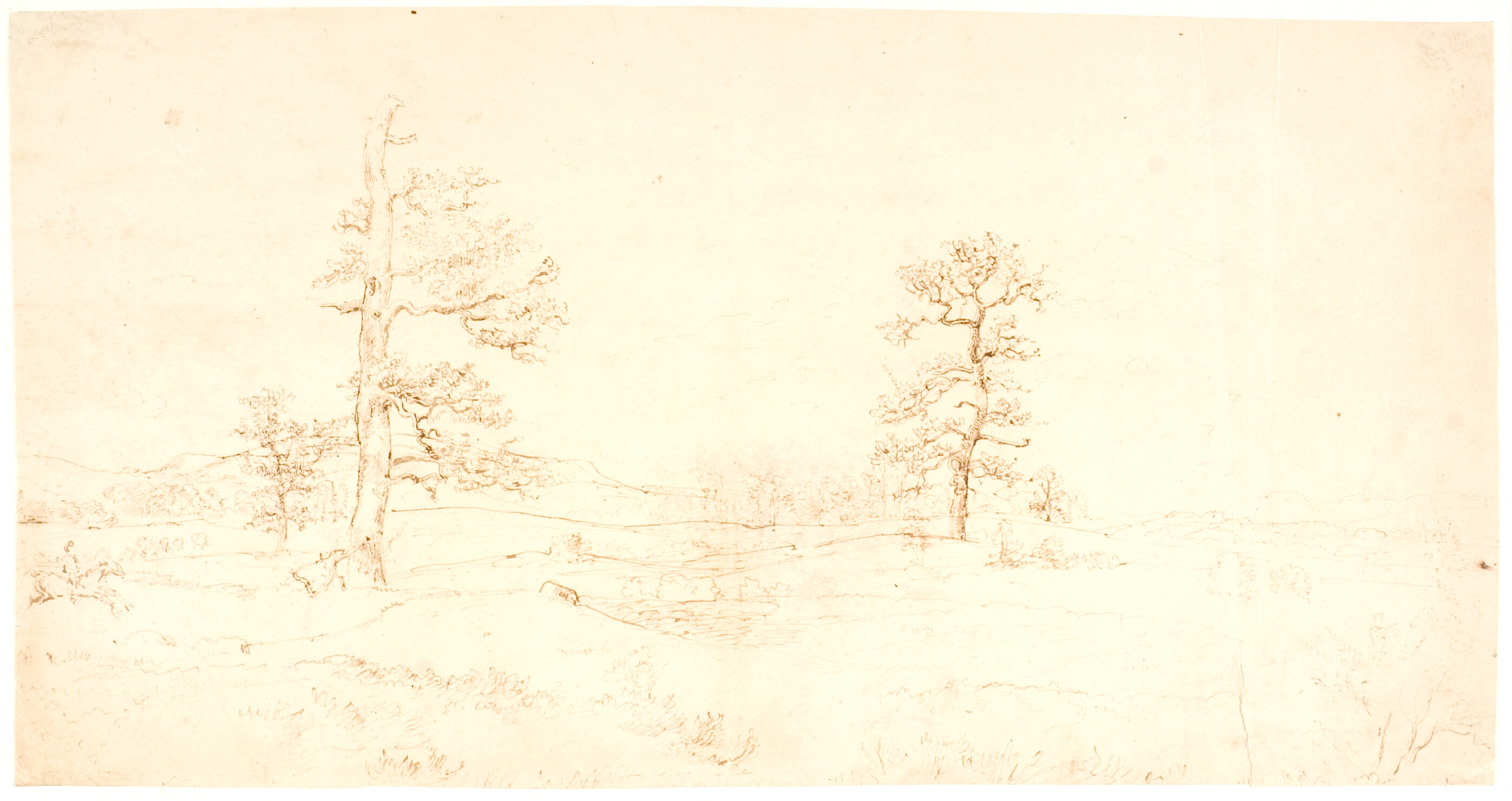 Udsigt over et bakket landskab med et par enligtstående egetræer