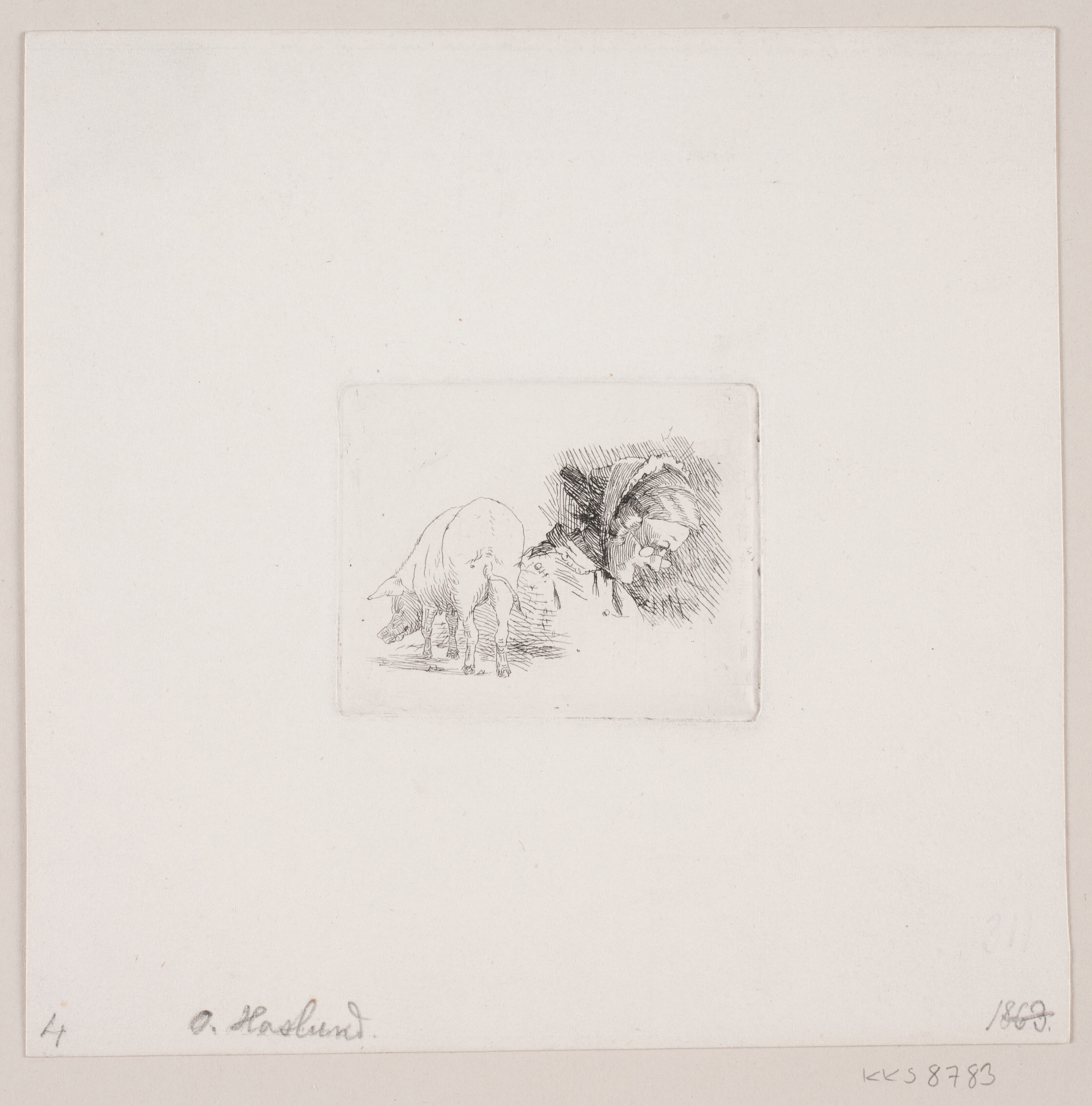 Hoved af ældre kone og et svin