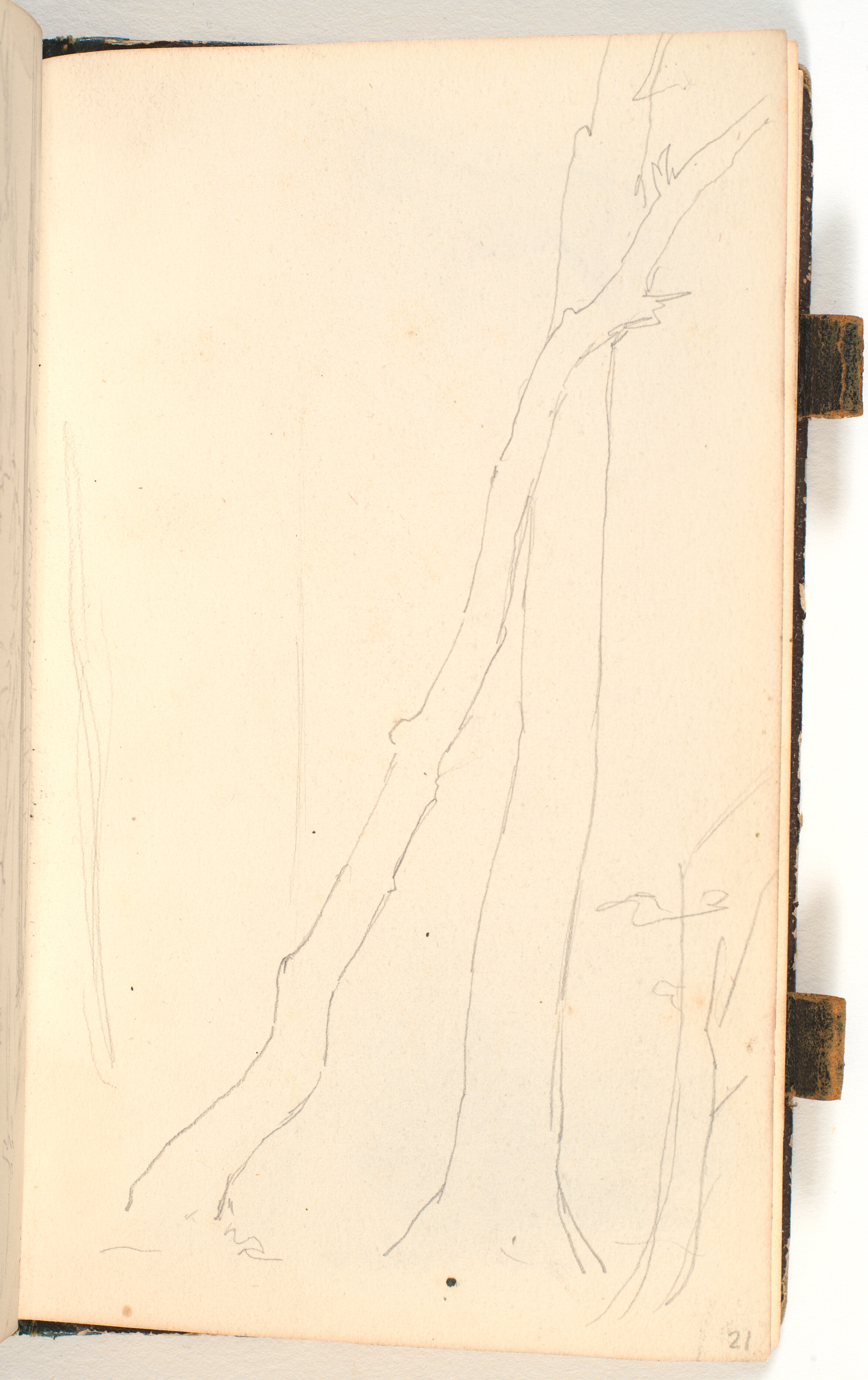 To træstammer, der læner sig mod hinanden