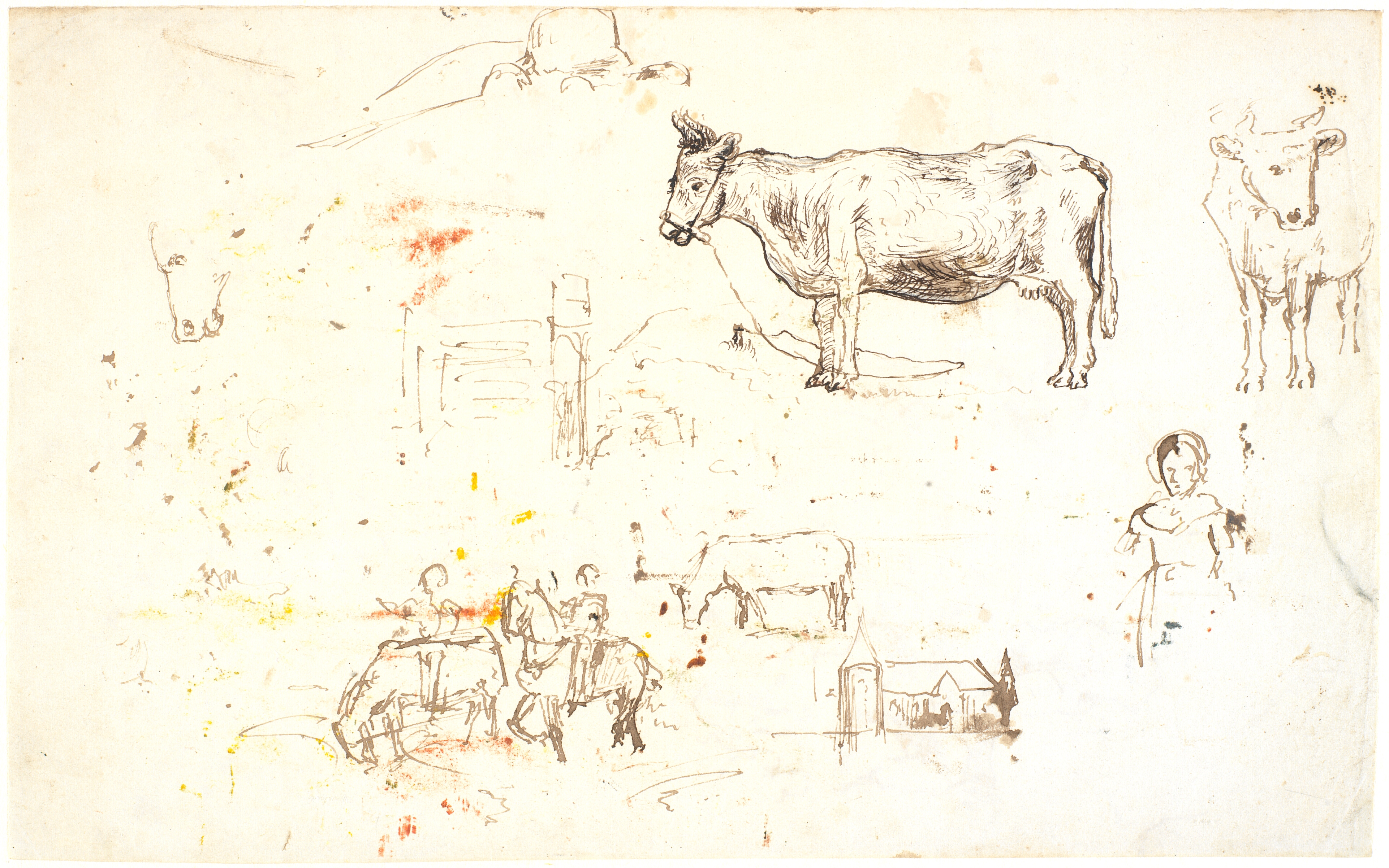 Studieblad med køer, et led o.m.a.