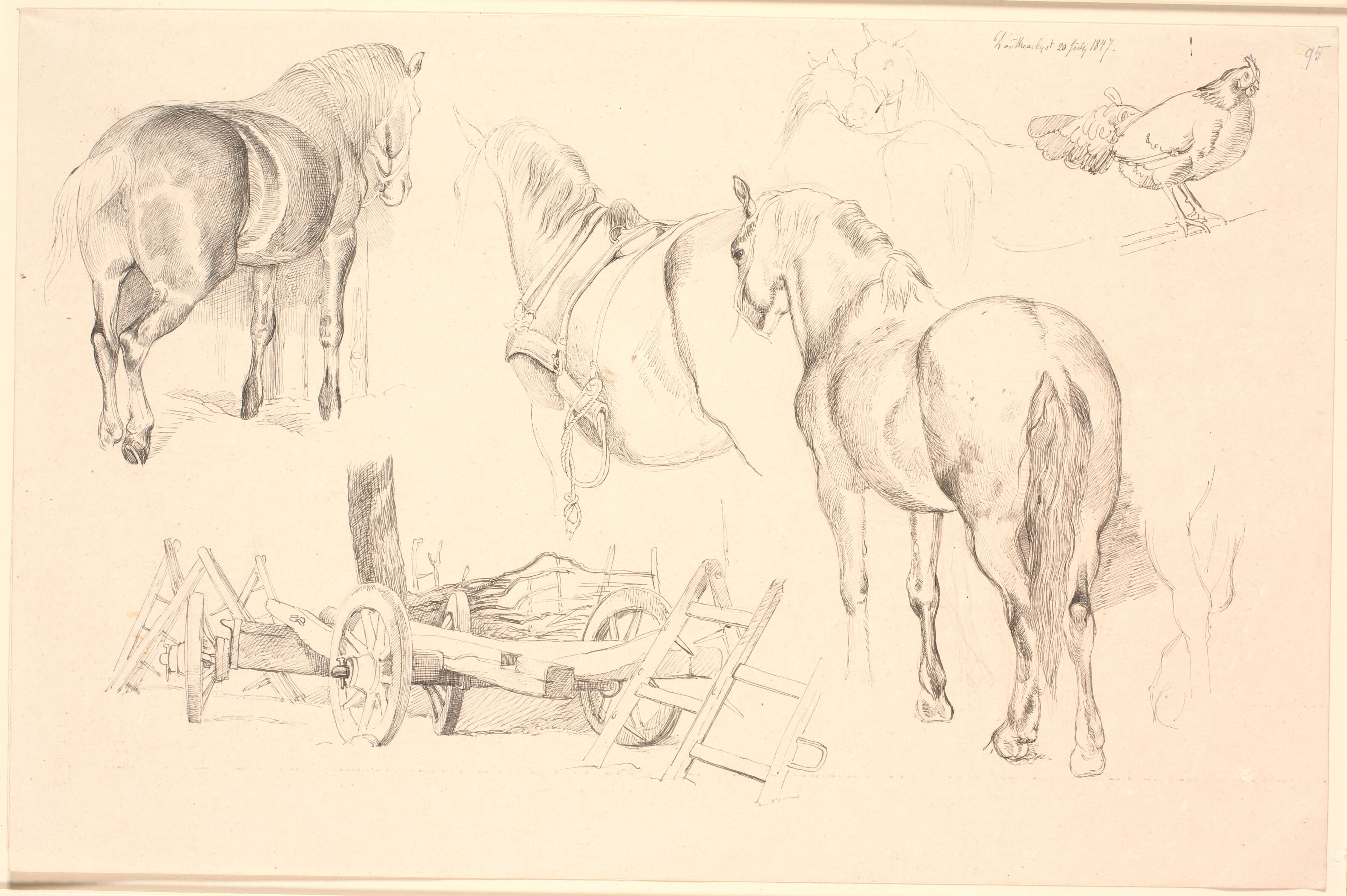 Studieblad med heste, markredskaber og en høne på sit hjal