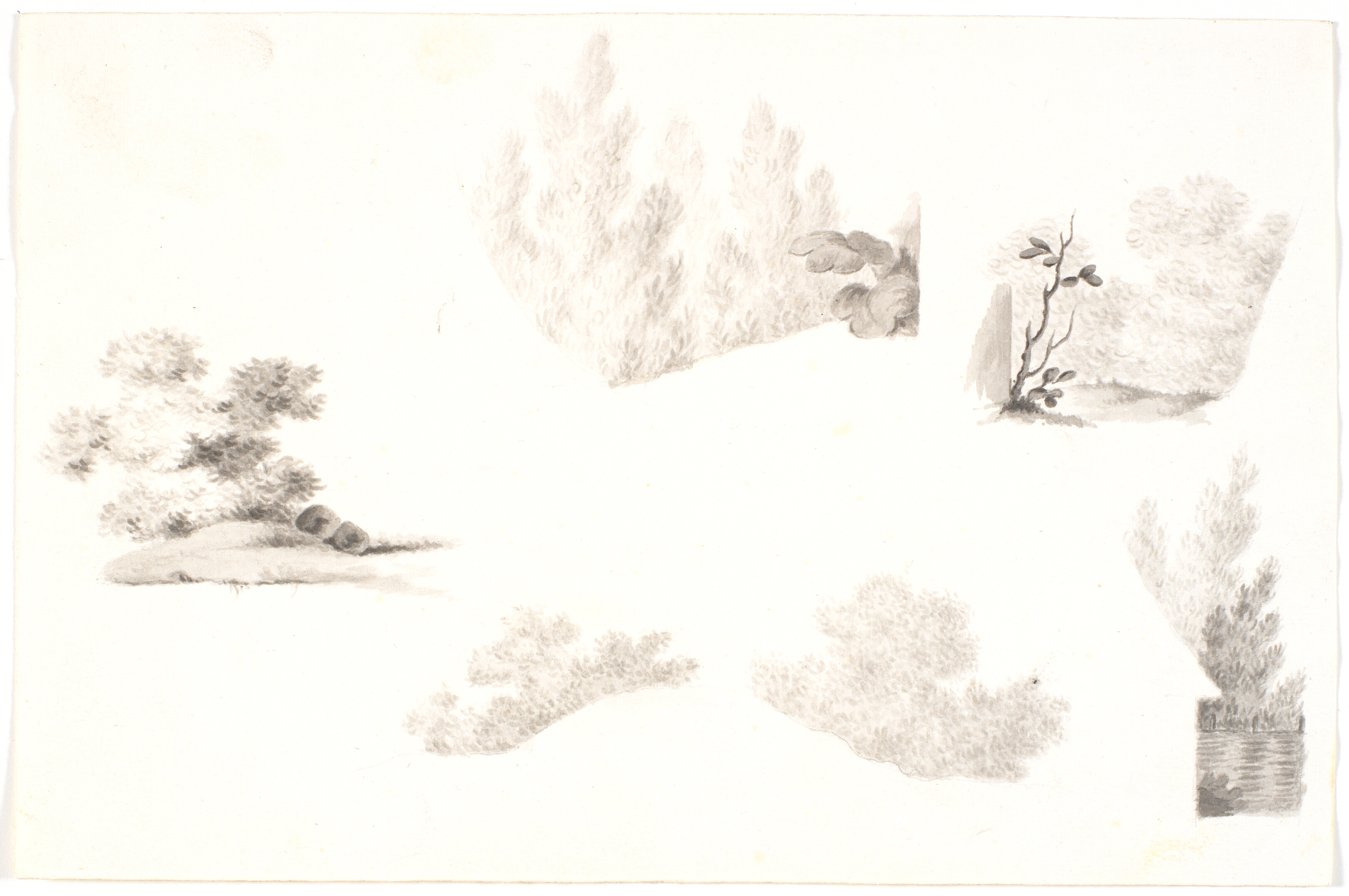 Forskellige småstudier af løvværk