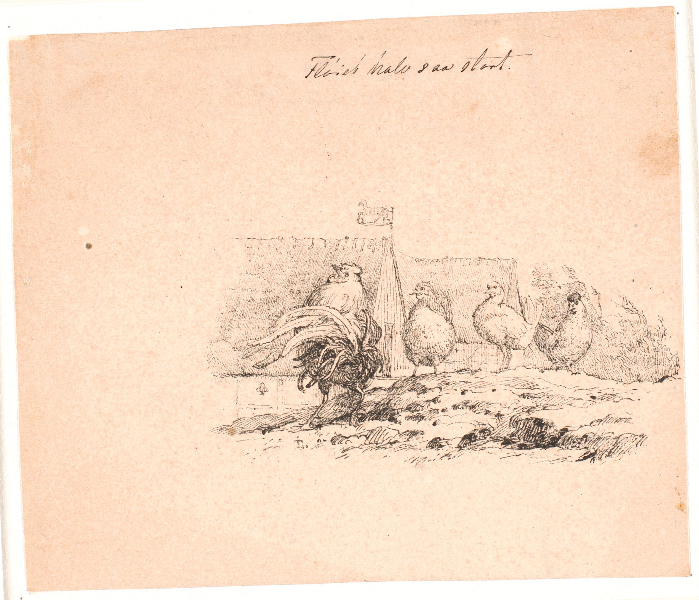 Hanen. Illustration til Kaalunds "Fabler for Børn". Se kommentar fra arkkatalog.