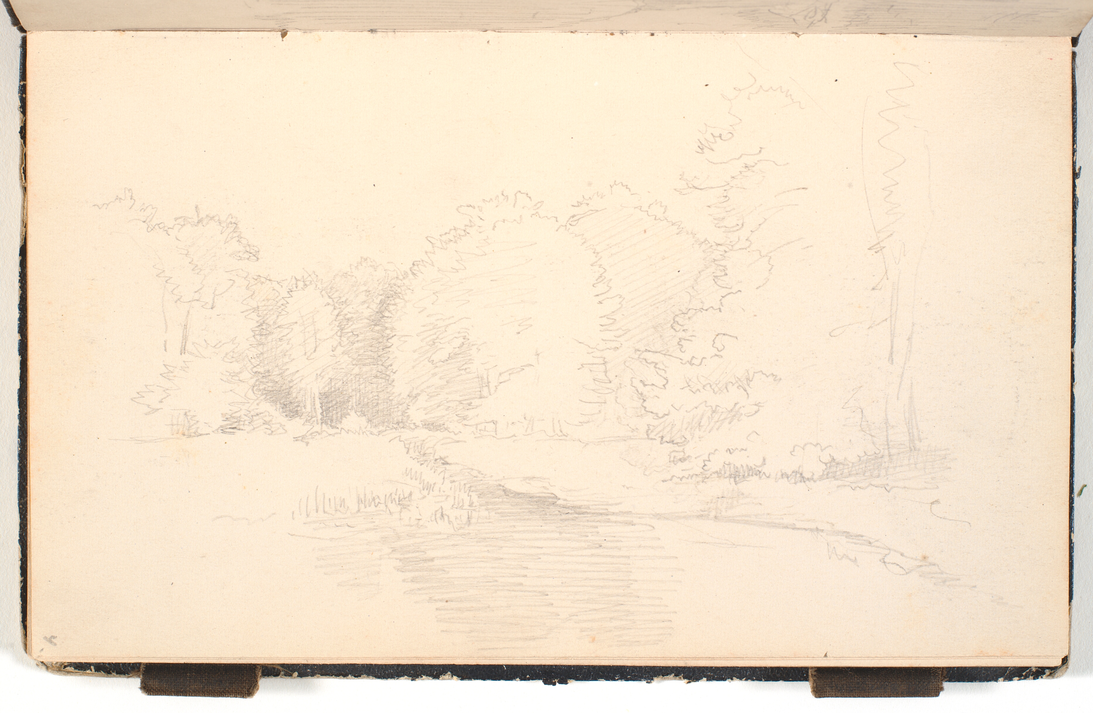 En sø. På bredden store træer og græs