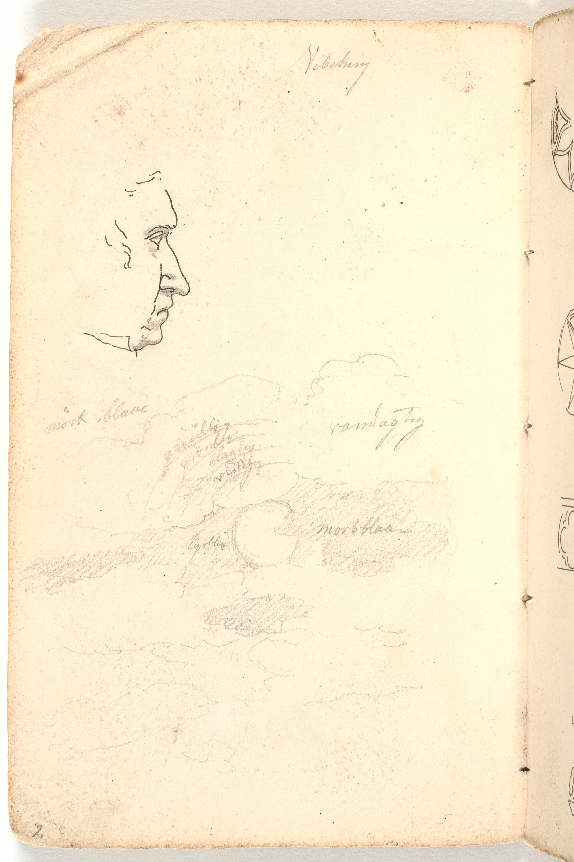 Mandsprofil og skystudie med farveangivelser