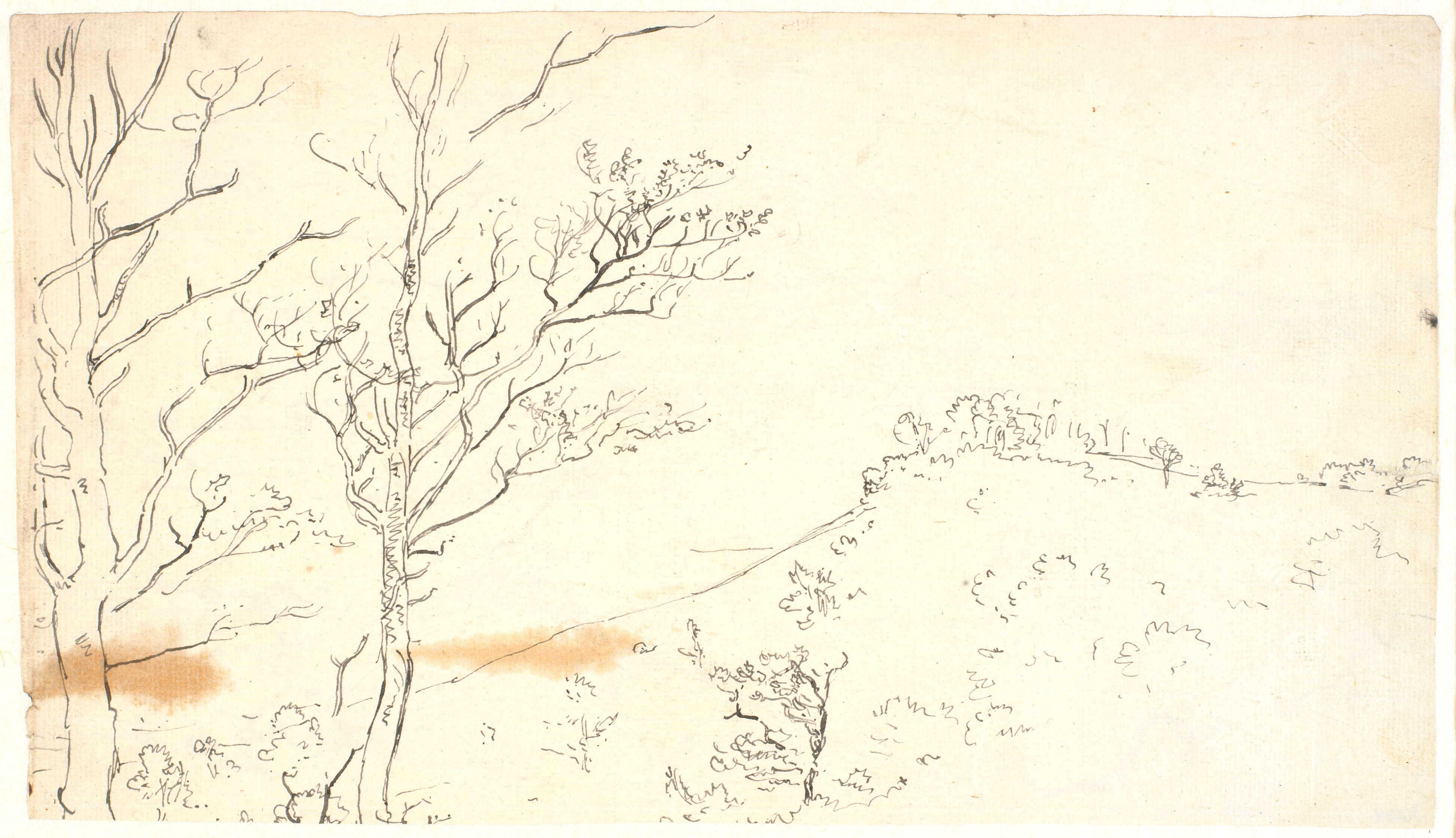 En bakke, der falder mod venstre, hvor i forgrunden et par træer rager op