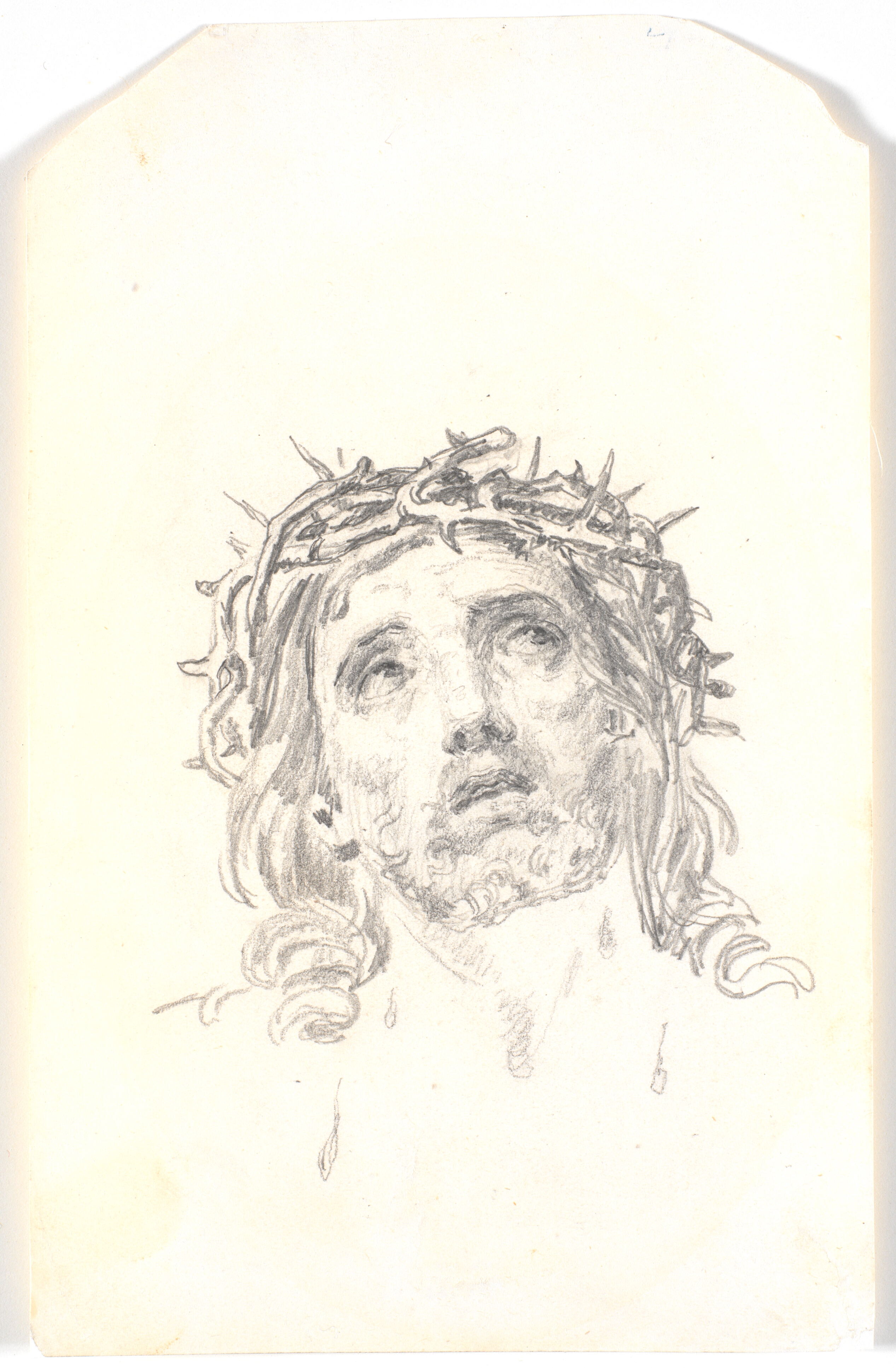 Hoved af den tornekronede Kristus