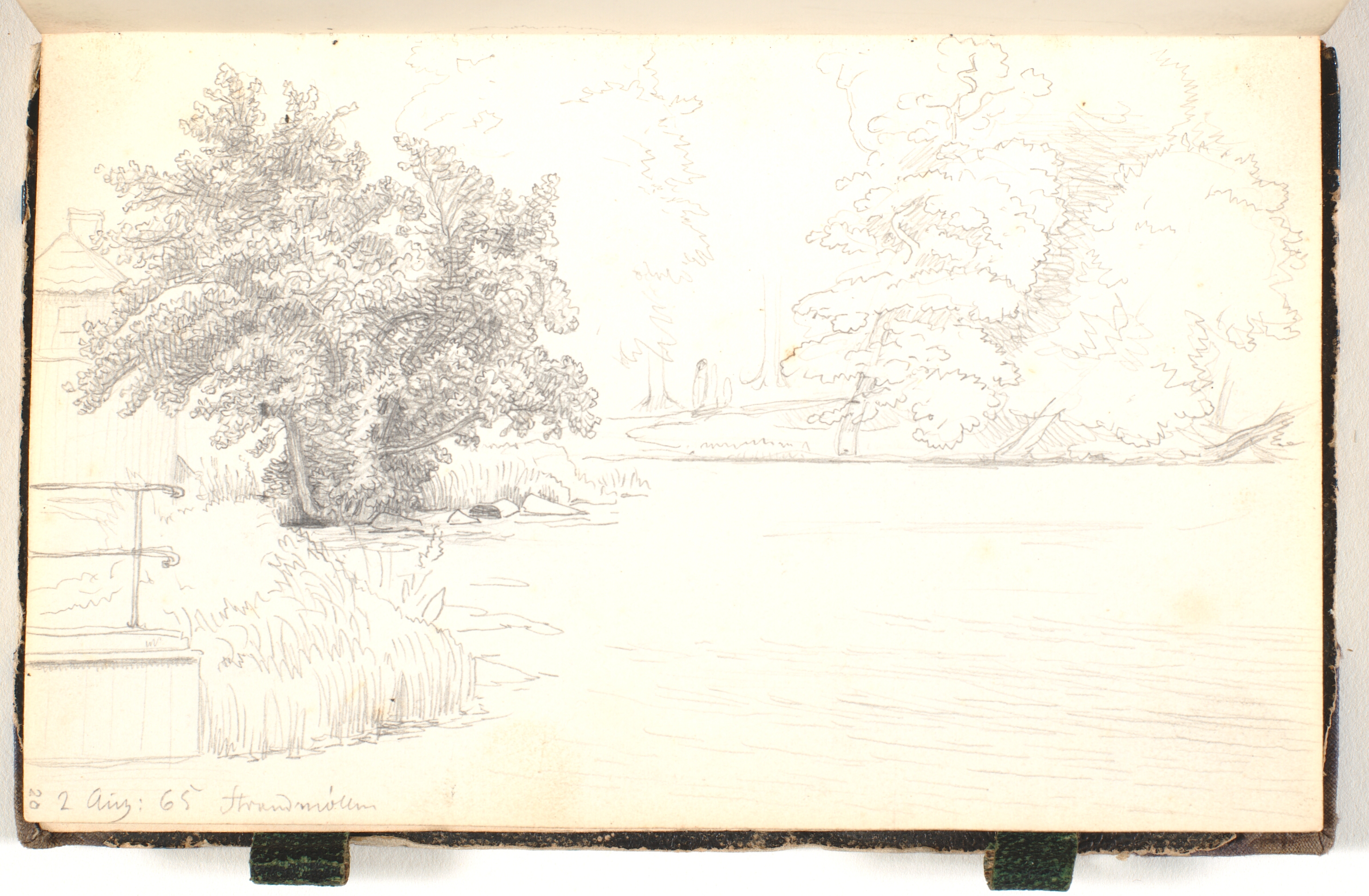 Skovparti ved en sø