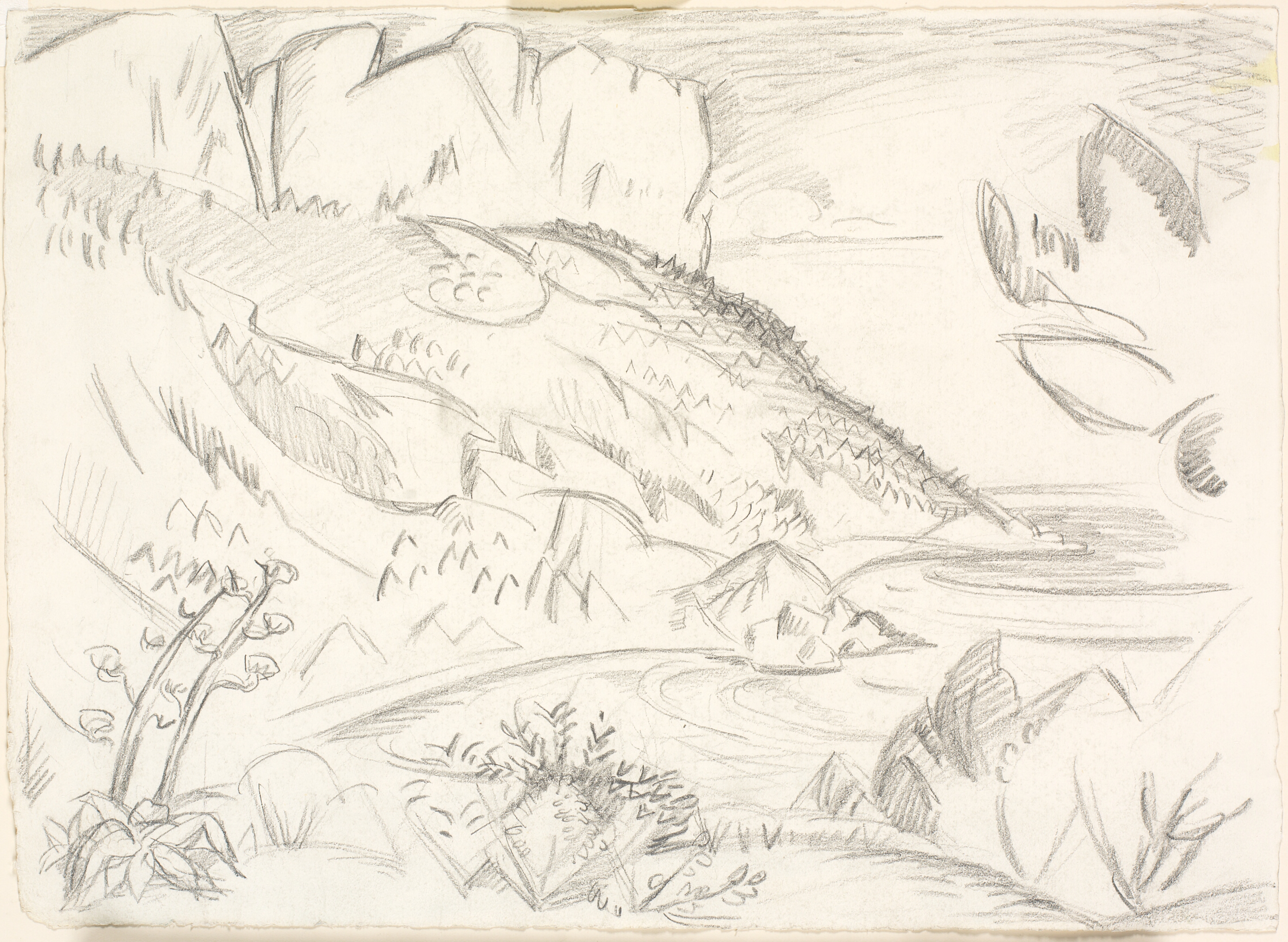 Cap Canaille ved Cassis