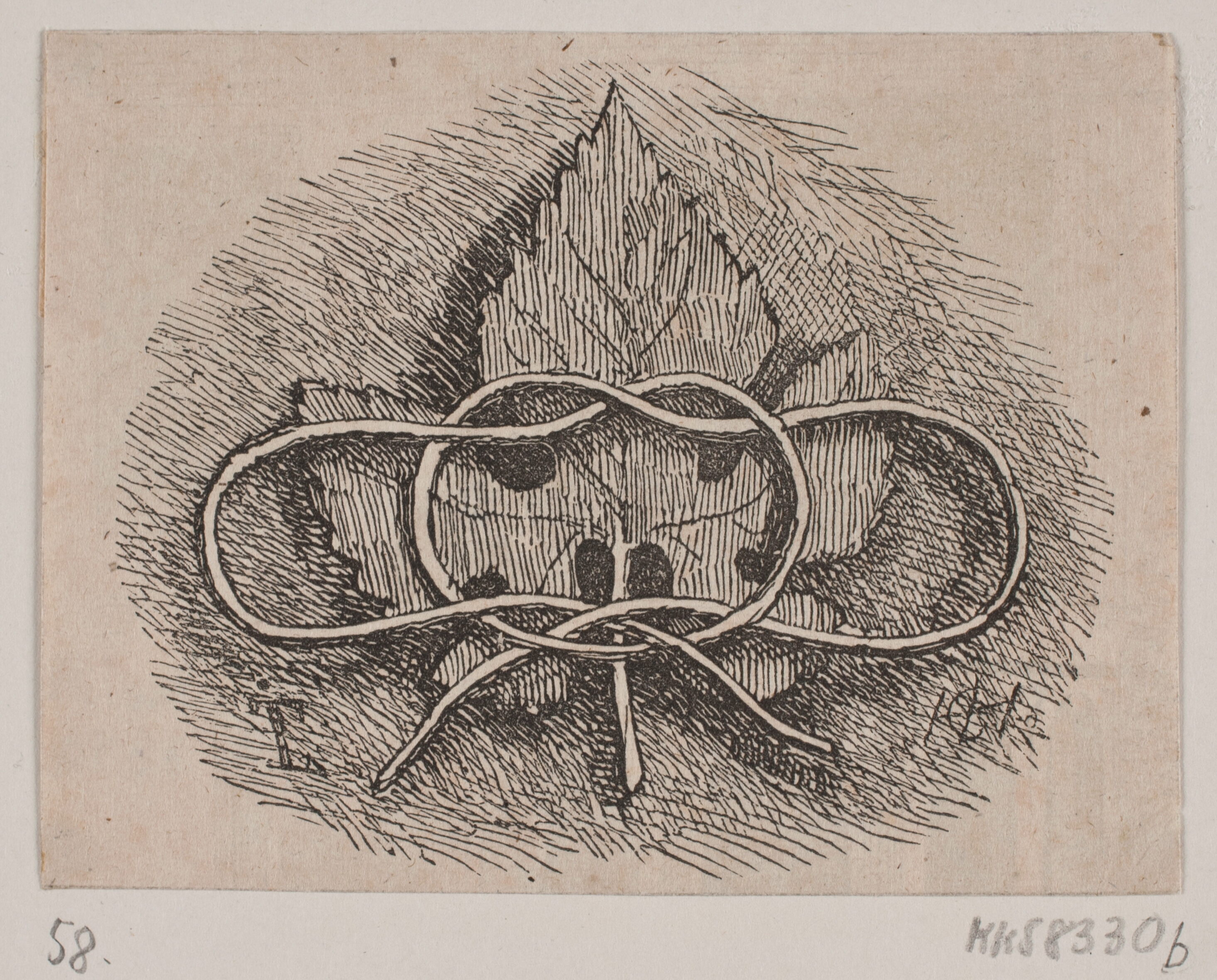 Trådslyngning over et blad