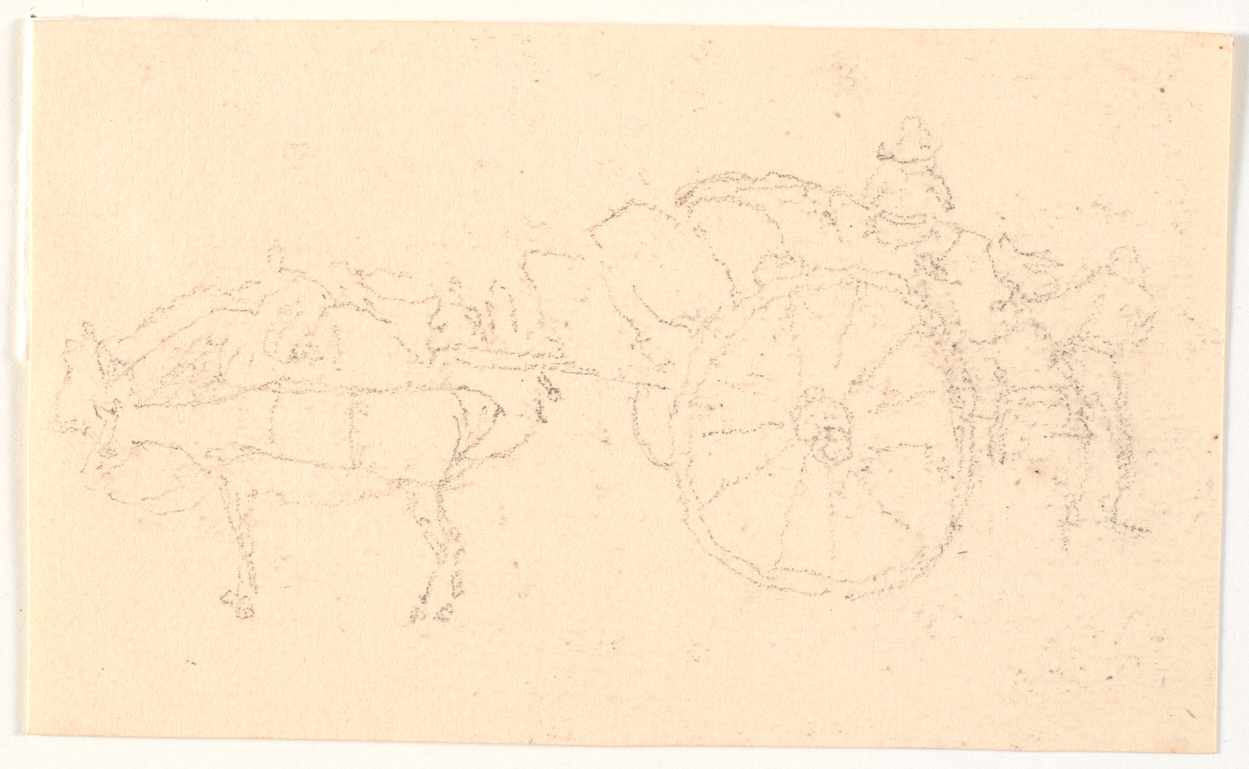 Tohjulet kærre med forspand