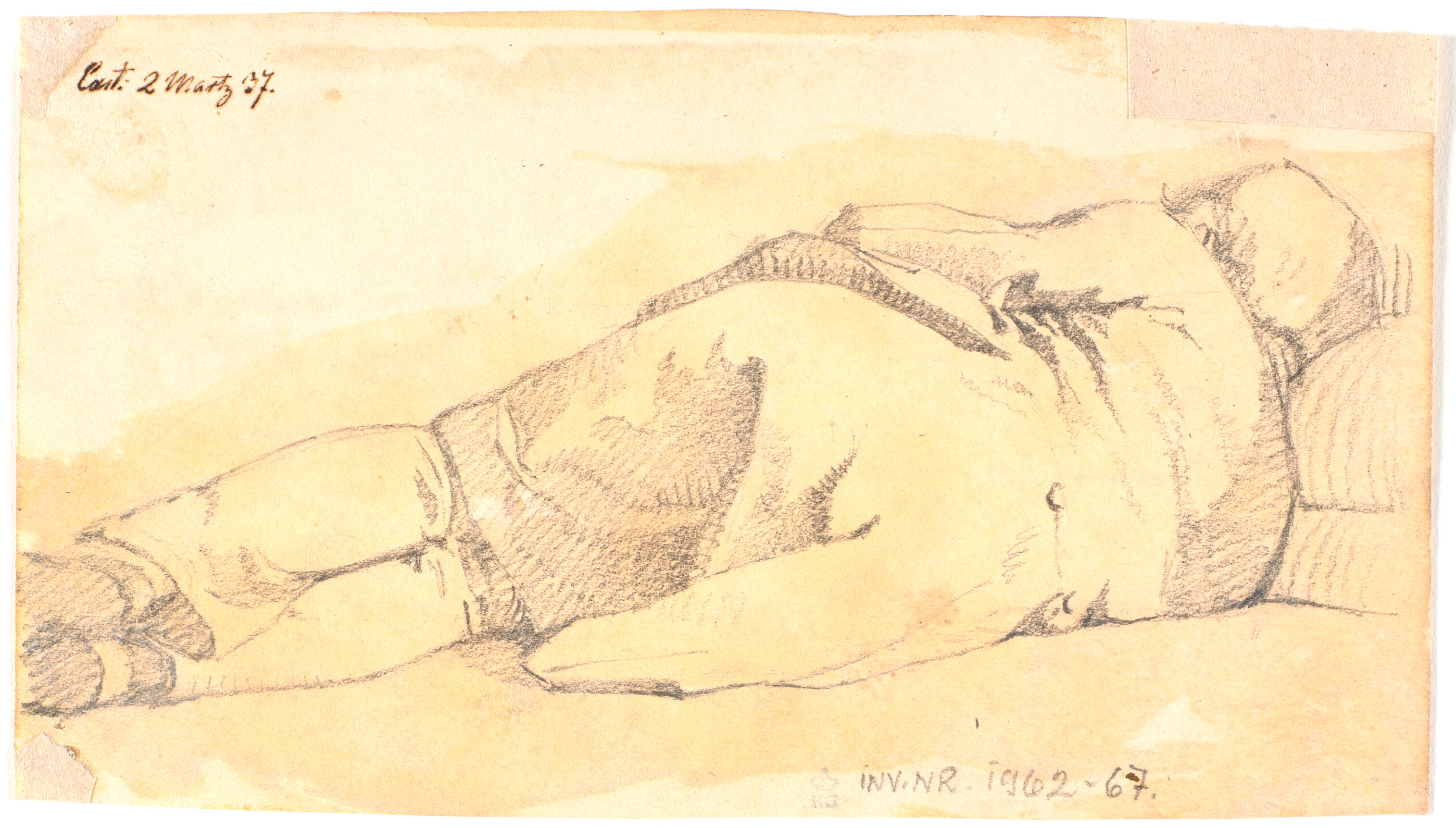 Sovende mand, set fra ryggen