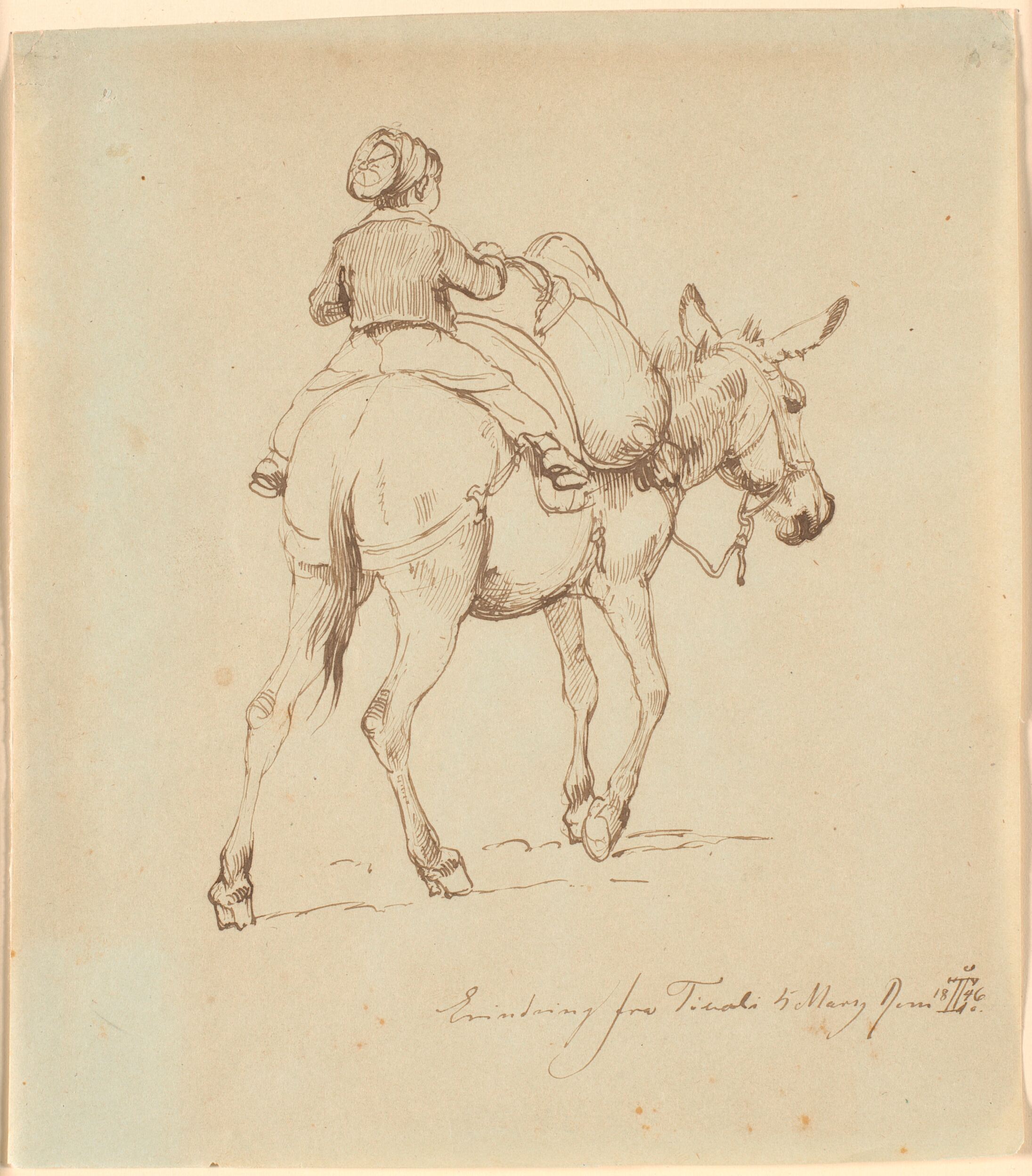 En dreng siddende på et belæsset æsel, set bagfra