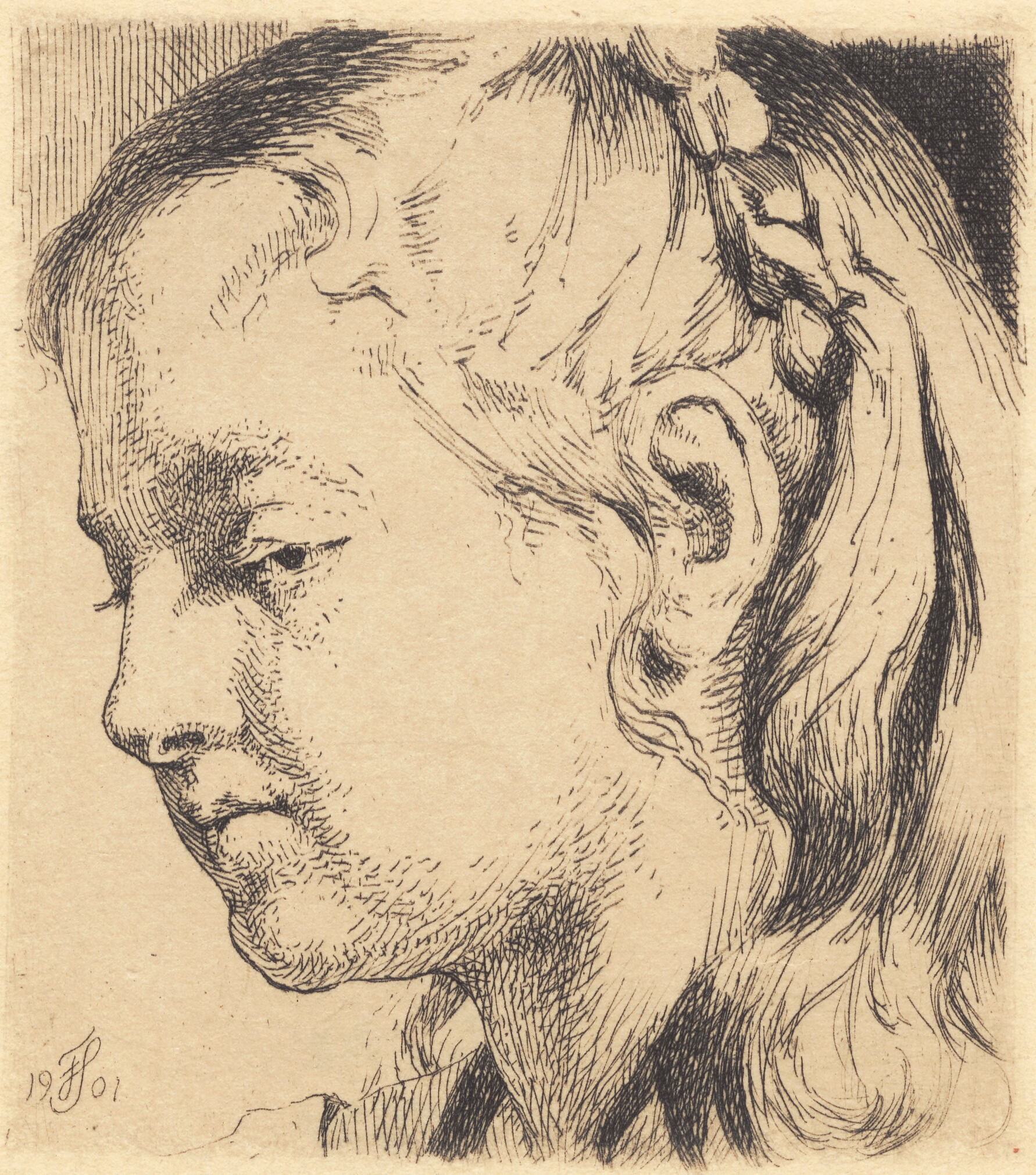 Prøveplade: Ungt pigehoved, med fletning