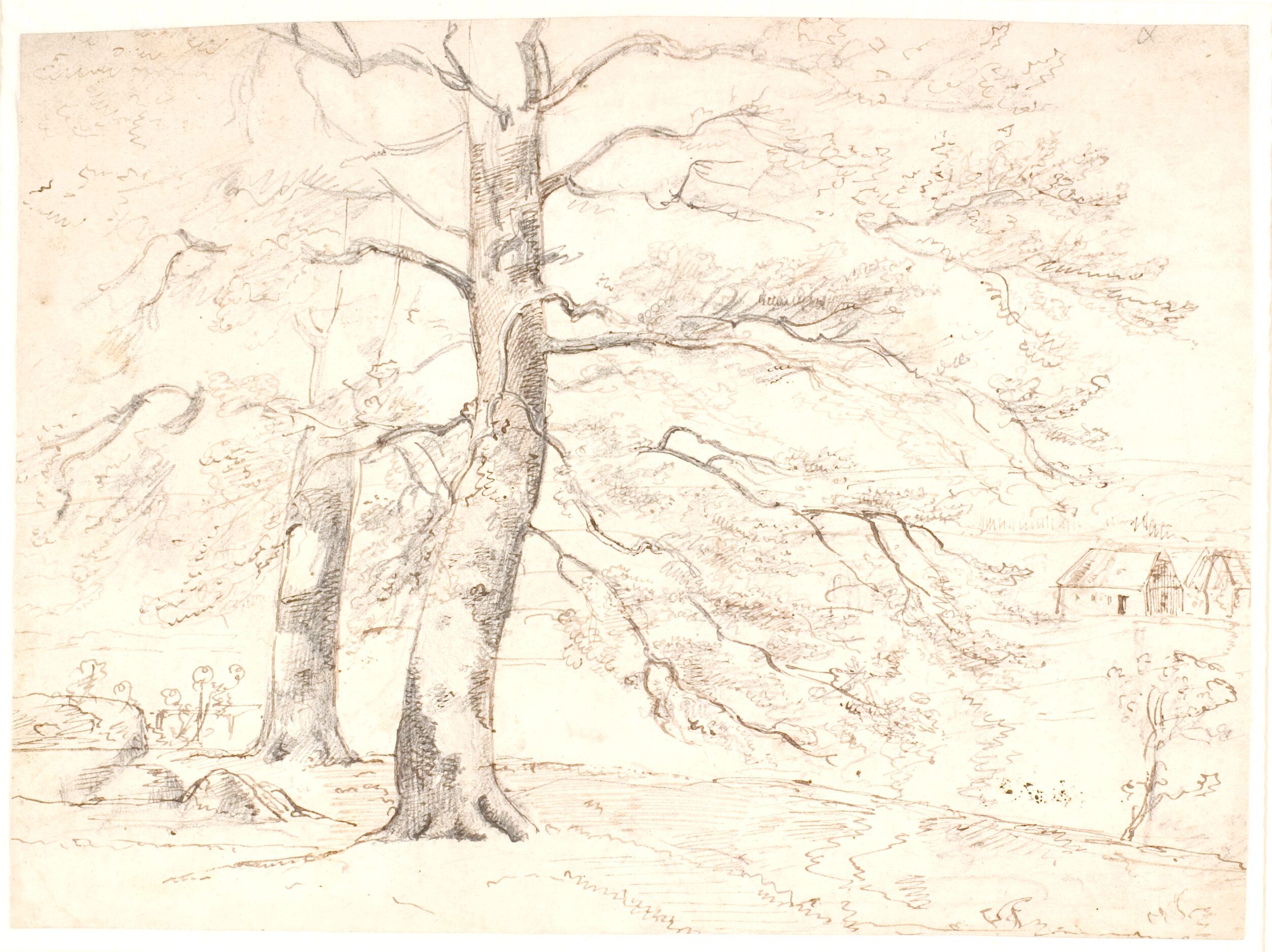 Udsigt over et landskab, i forgrunden store bøgetræer