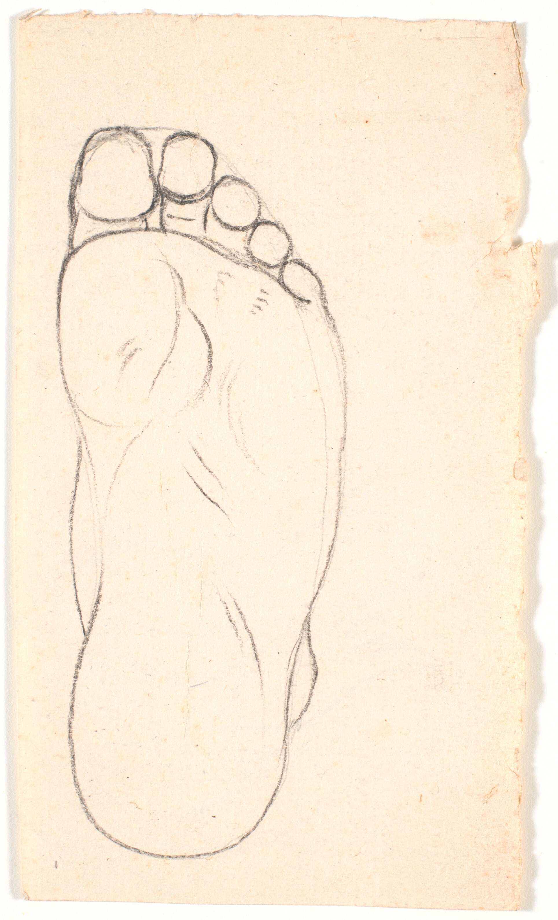 Studie af en fod set fra neden. Hælen t.h.