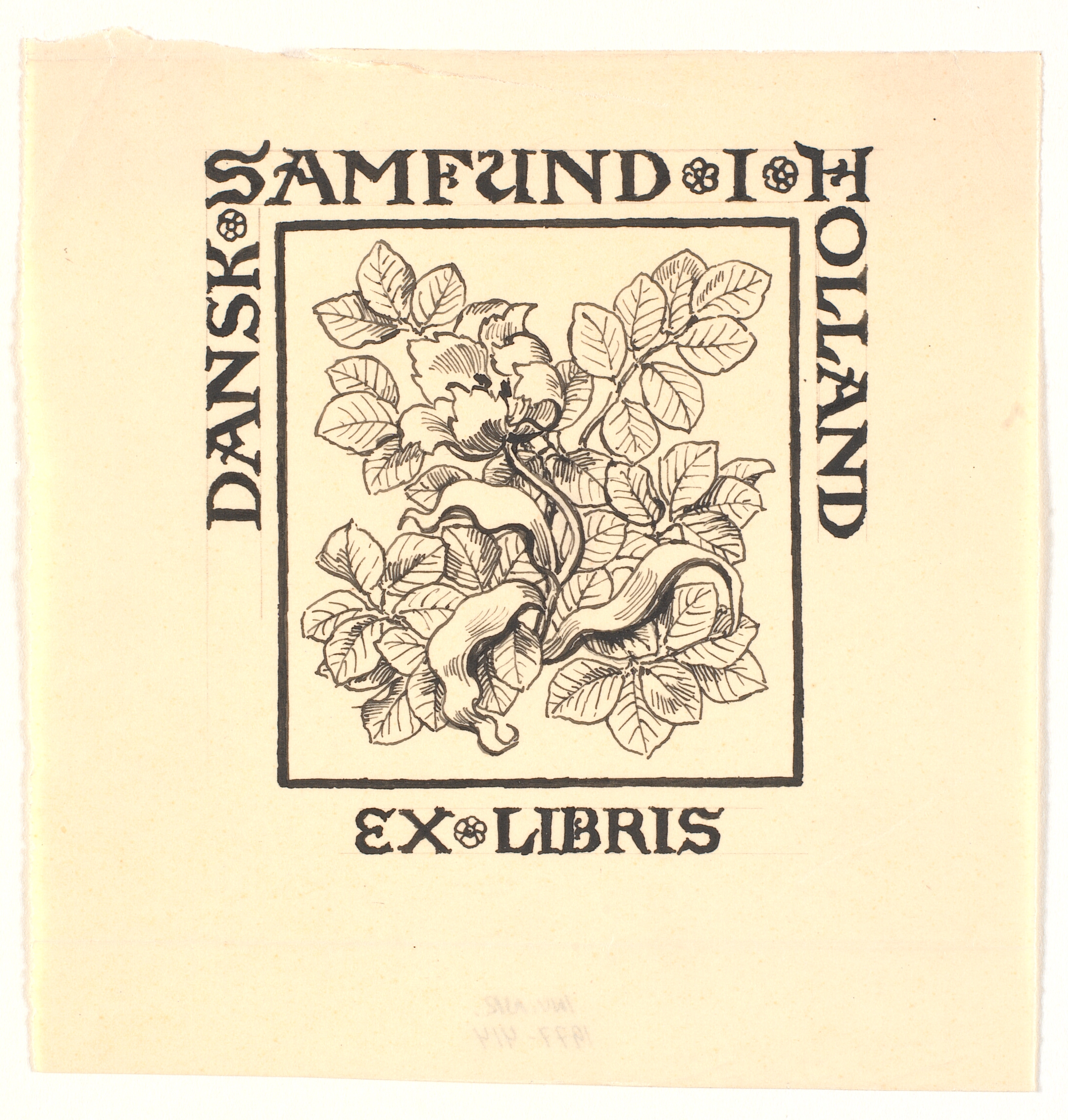 Udkast til ekslibris for Dansk Samfund i Holland