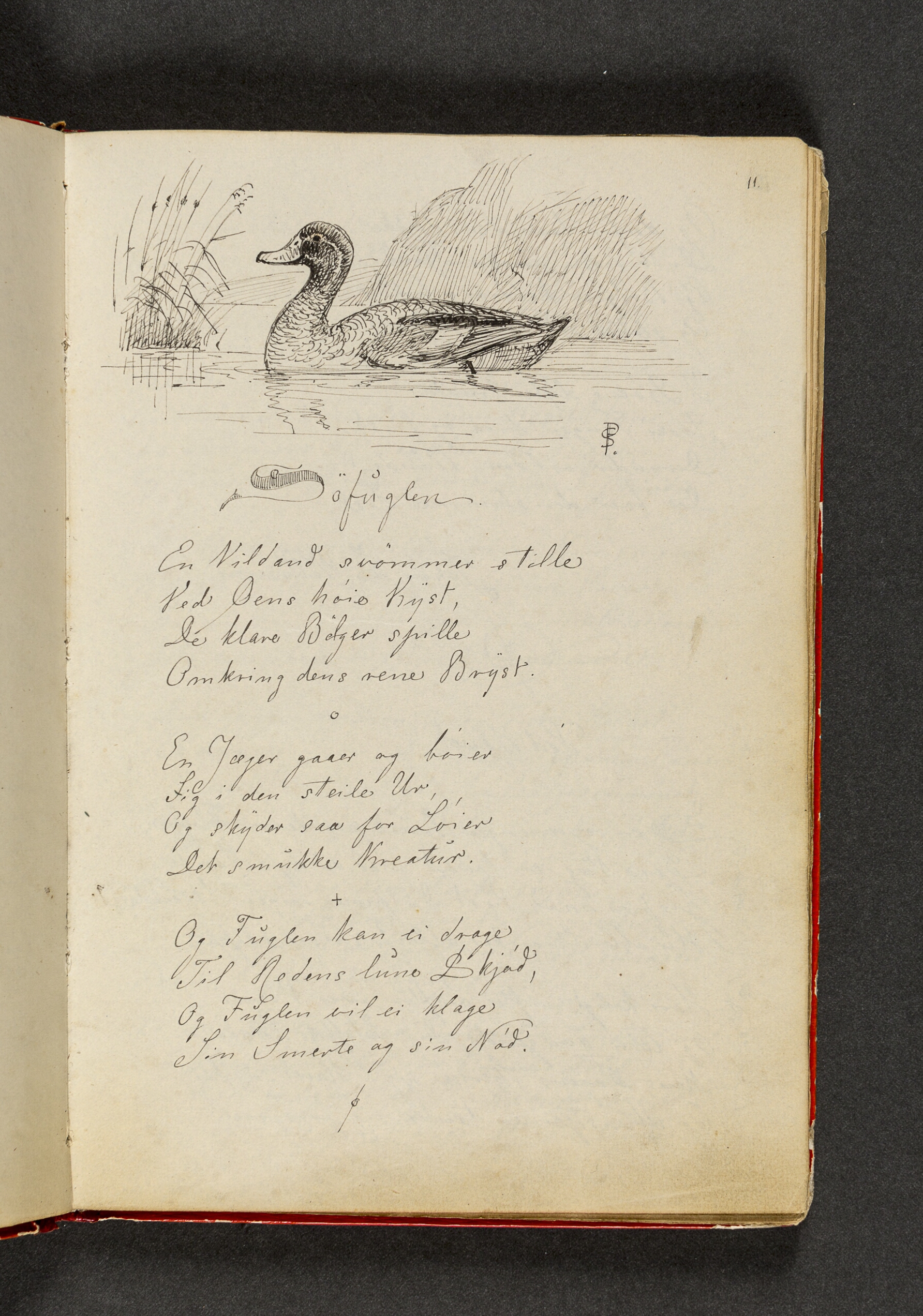 En and der svømmer blandt siv; samt vers Side 11