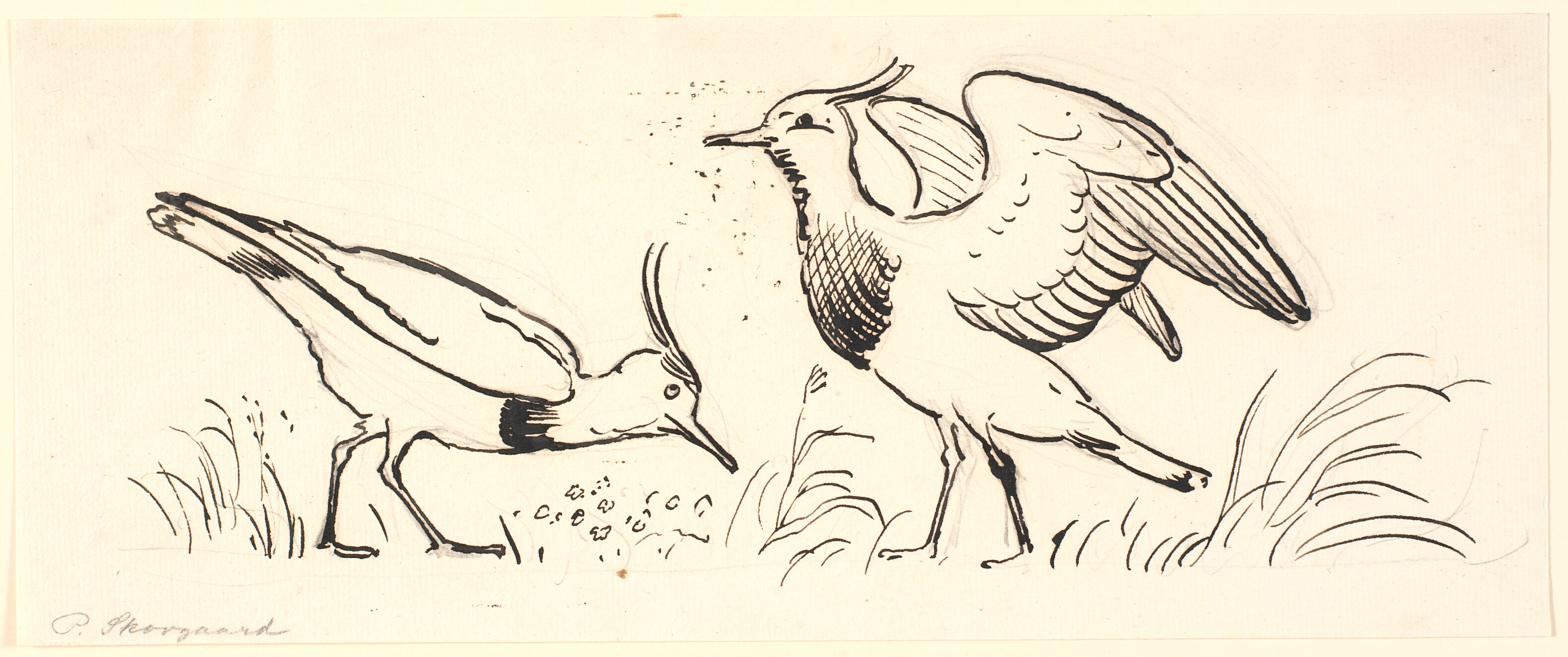 To viber. Dekorativt udkast.