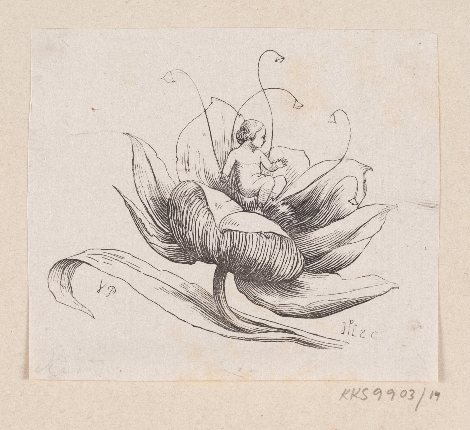 Illustration til "Tommelise" i H.C. Andersen, "Eventyr og Historier", Bind 1