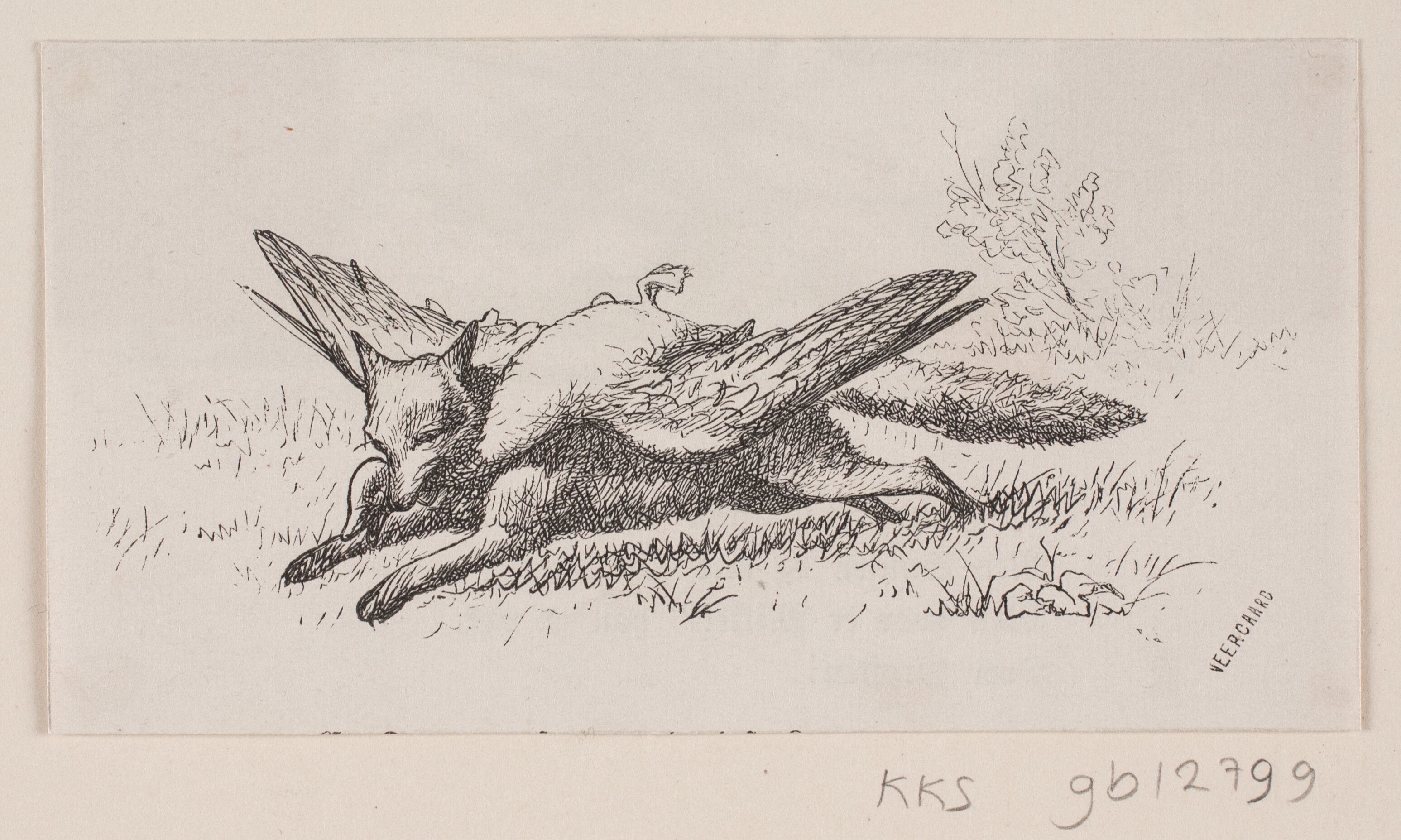 Illustration til "Hr. Mikkel"