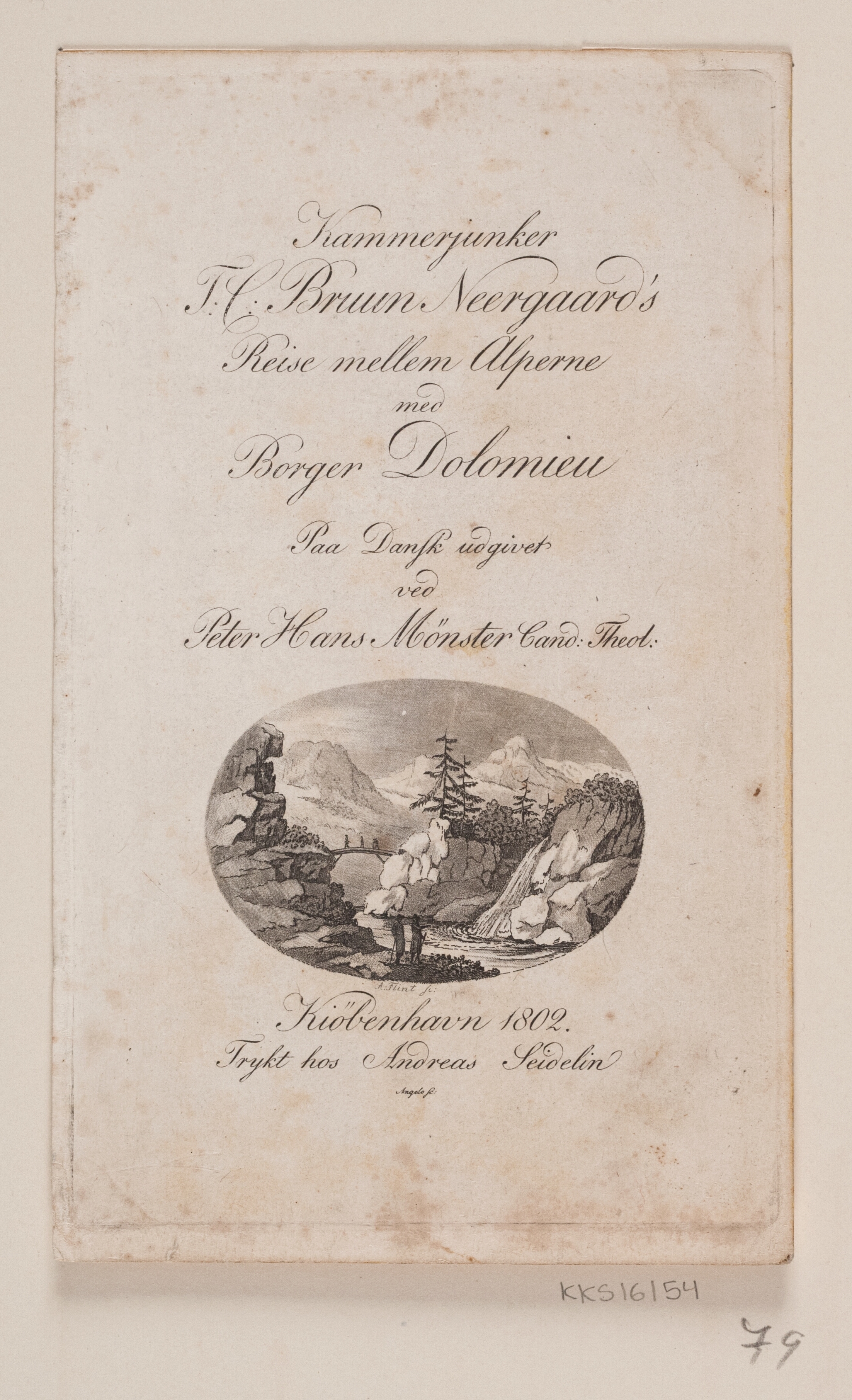 Titelblad til Bruun Neergaard, Rejse Mellem Alperne