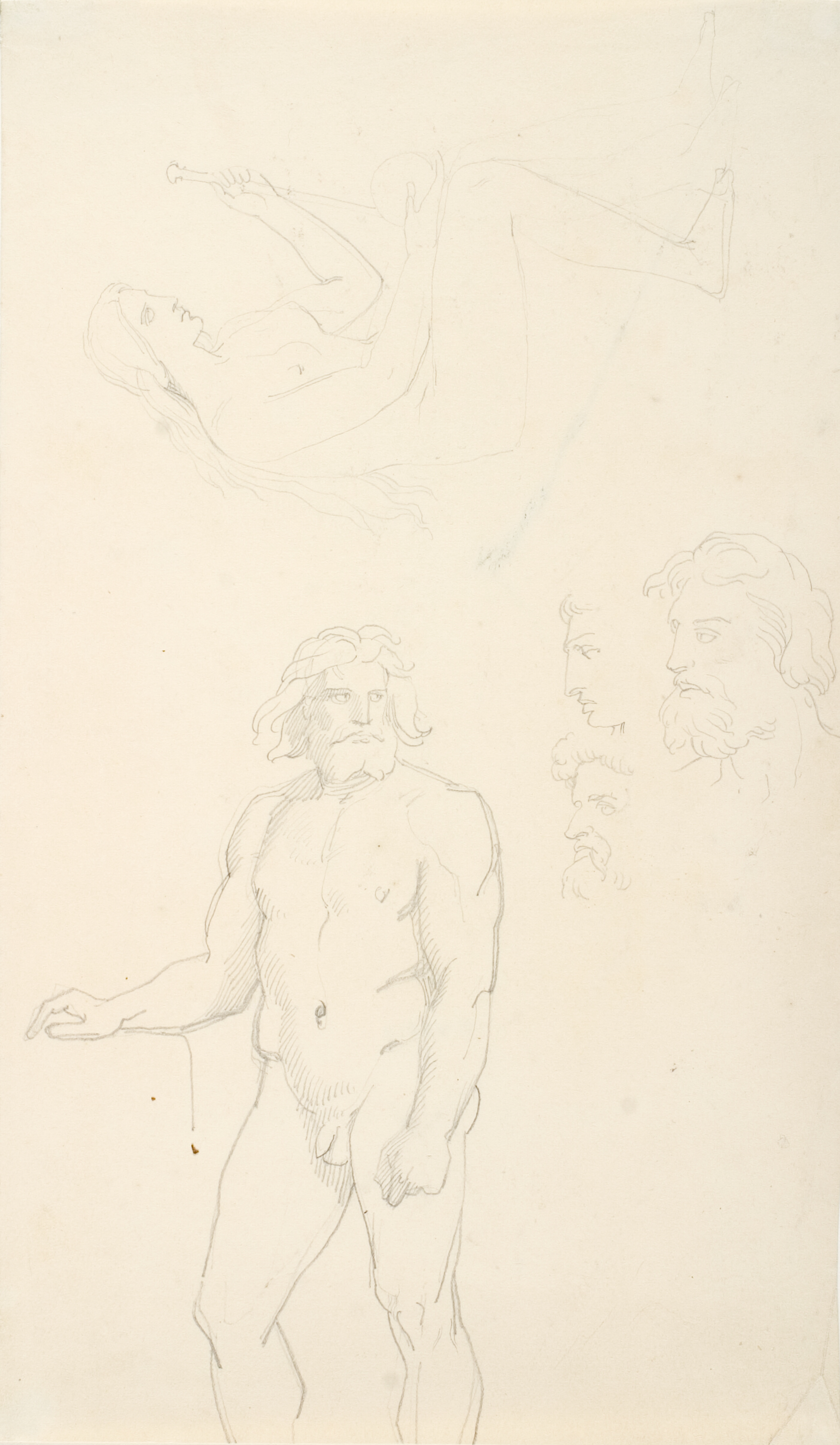 To figurstudier af stående nøgen mand og siddende nøgen kvinde. Desuden tre profilstudier