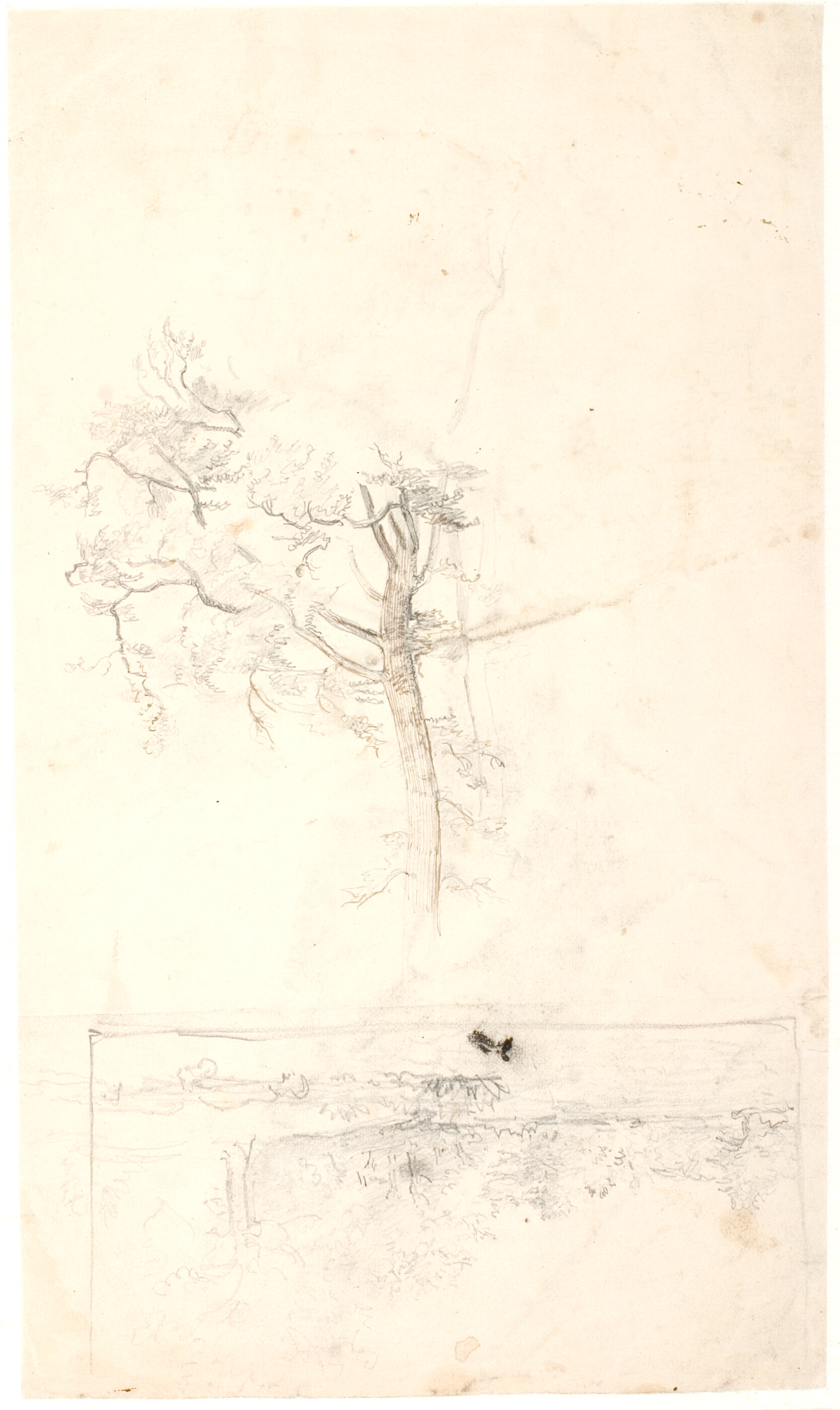 Træstudie. Udkast til en landskabskomposition