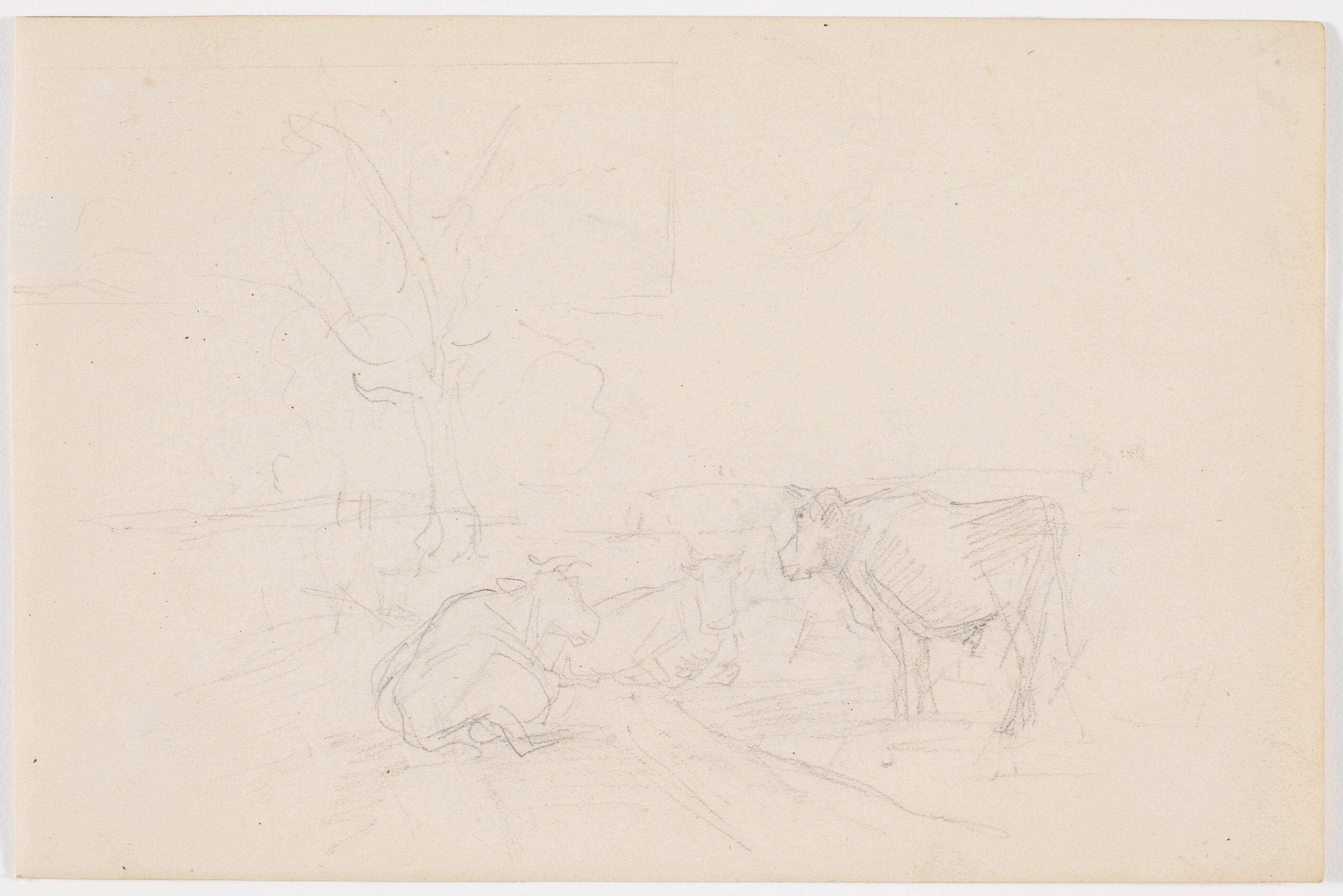 Malkepladsen ved Dyrehavegård