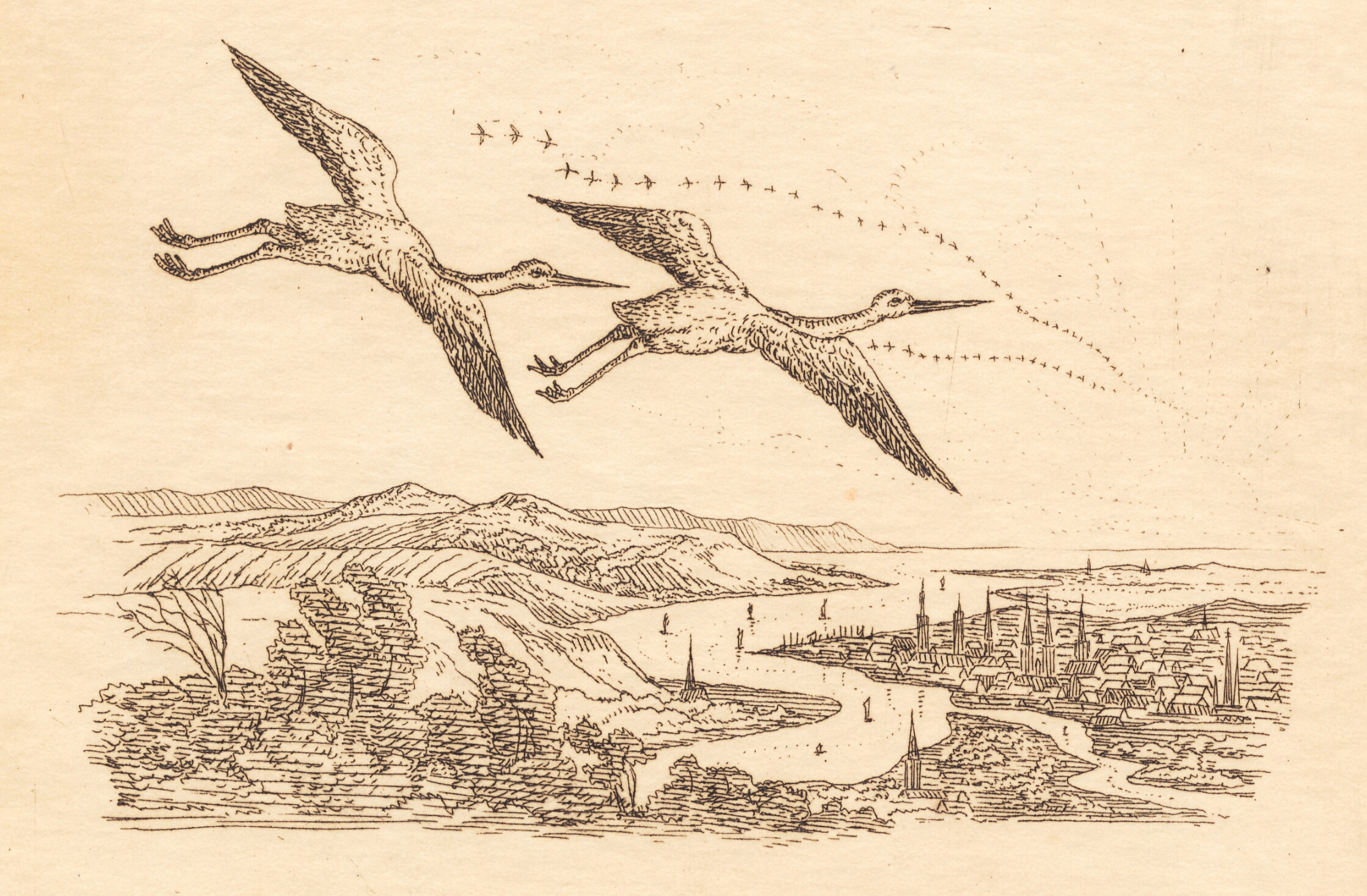 Illustration til "Halvhundrede Fabler for Børn" af Hey