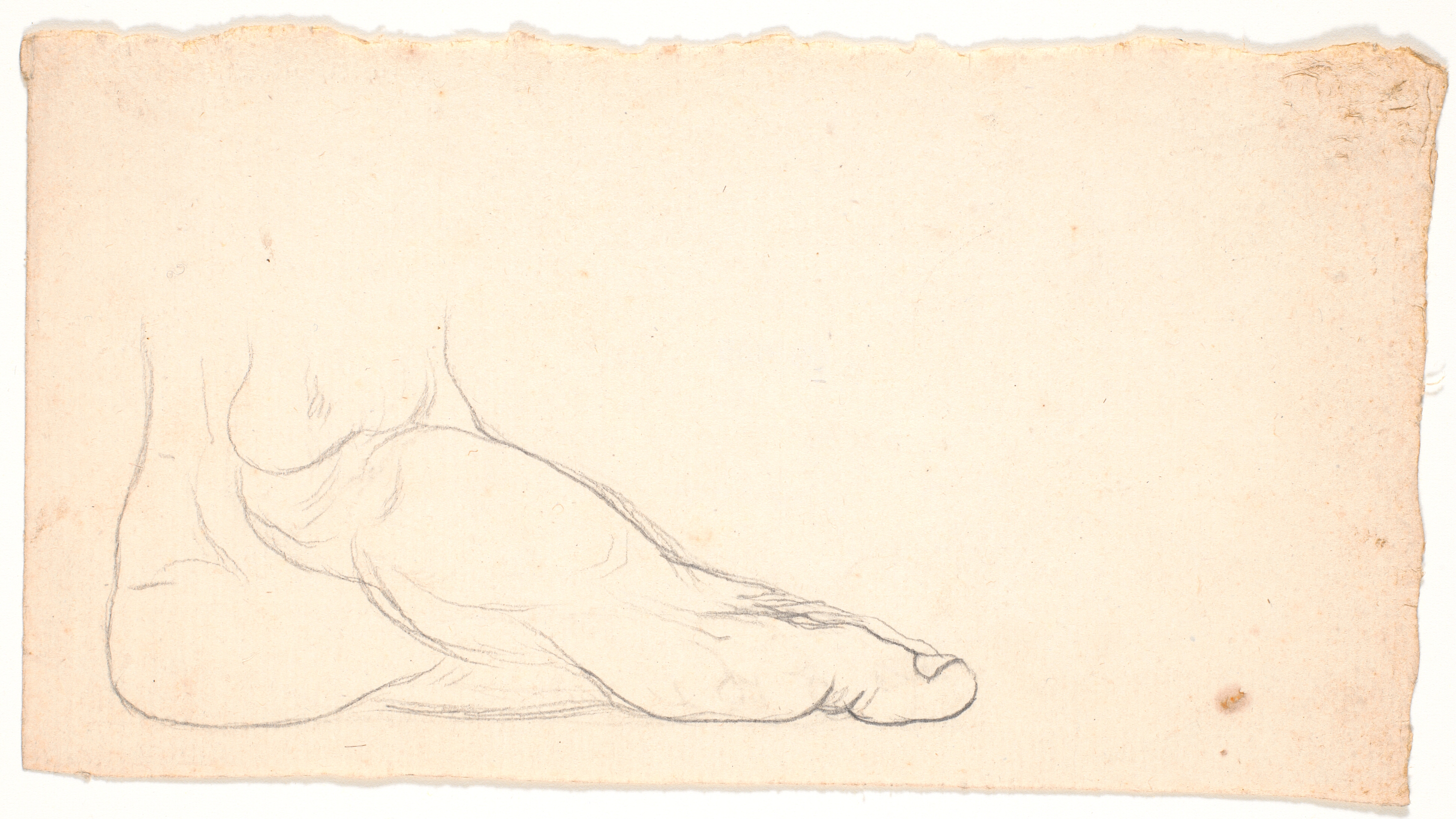 Skitse af fod set fra siden. Hælen t.v.